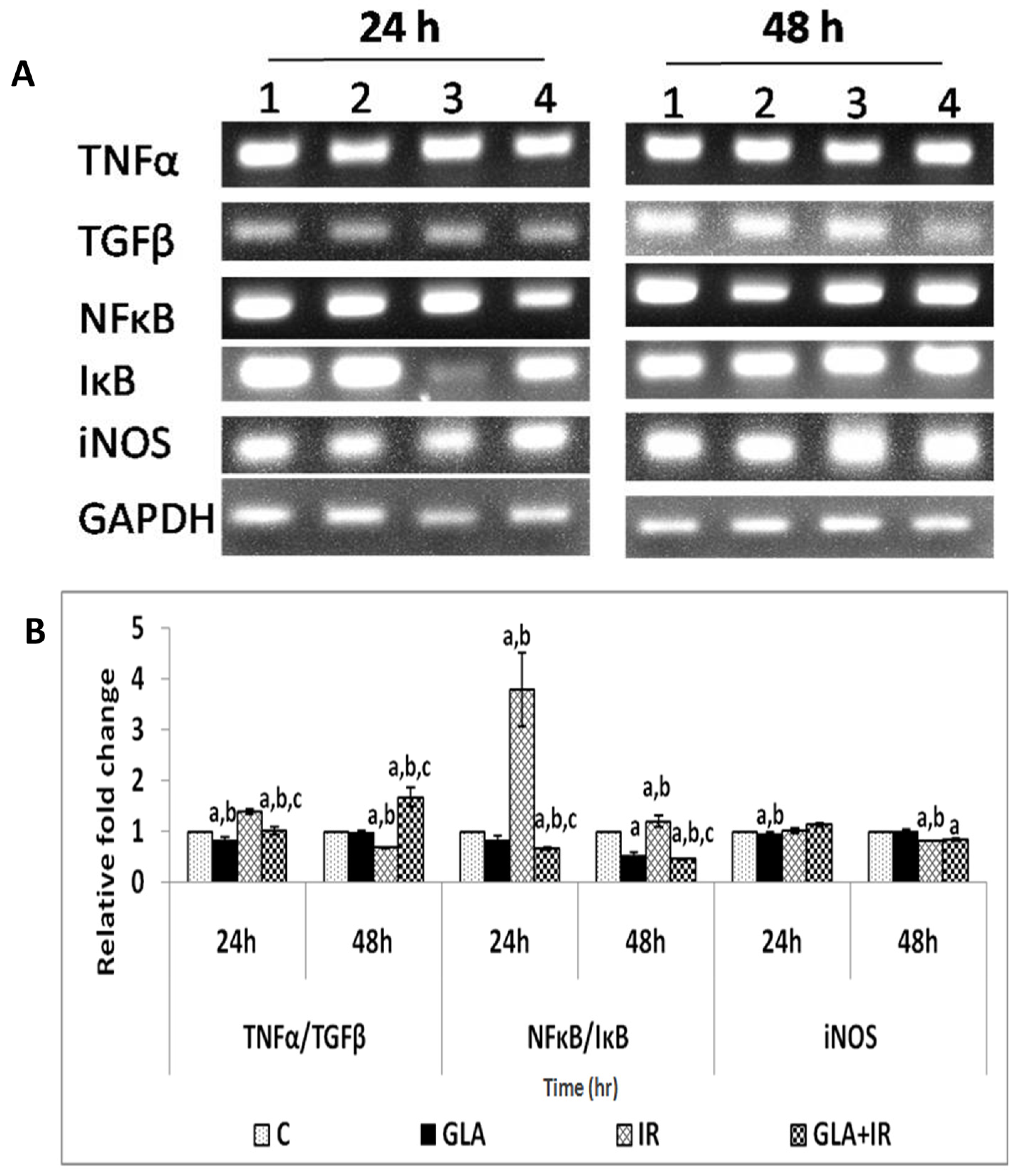 Biomolecules 12 00797 g007