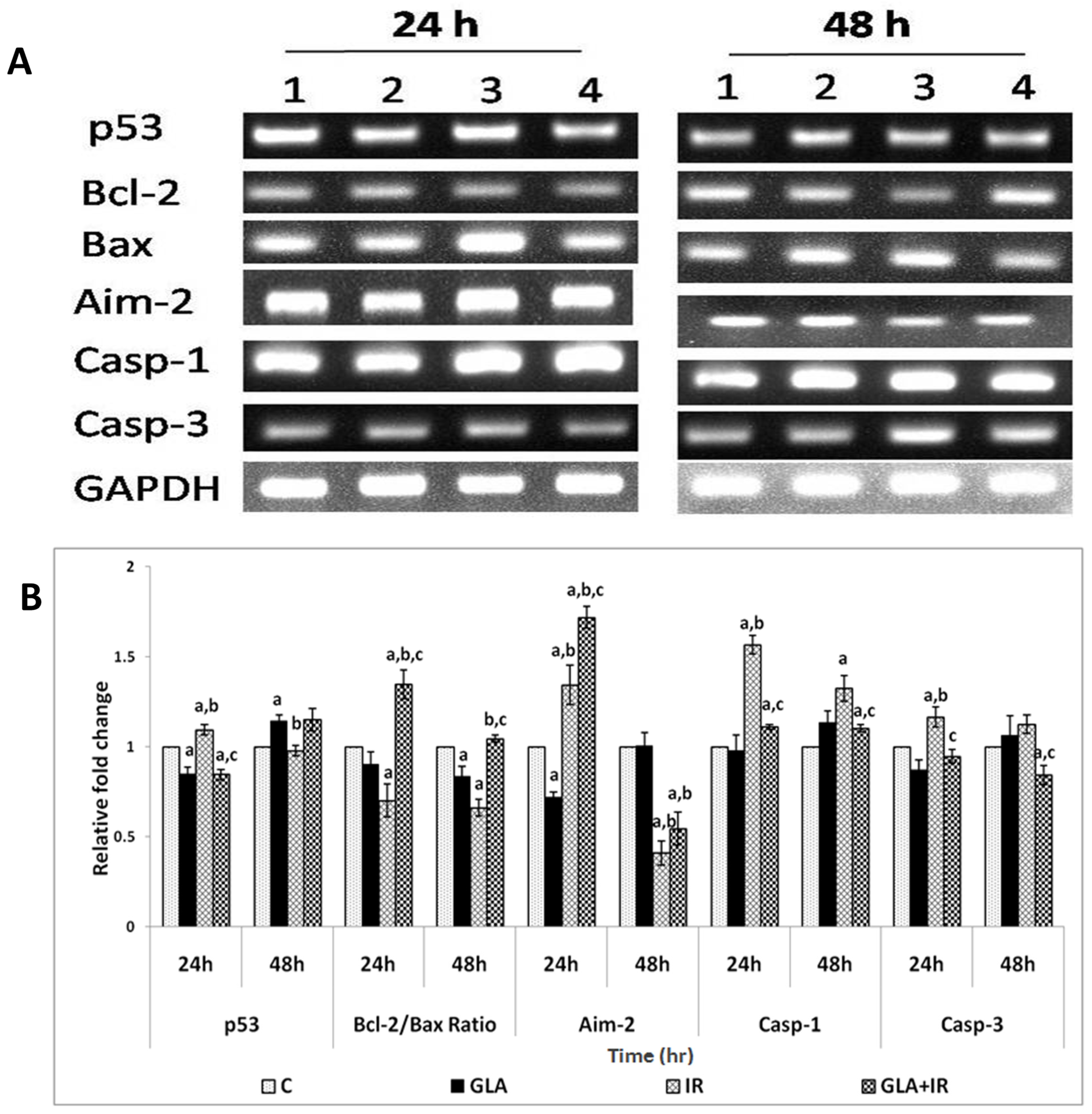 Biomolecules 12 00797 g008