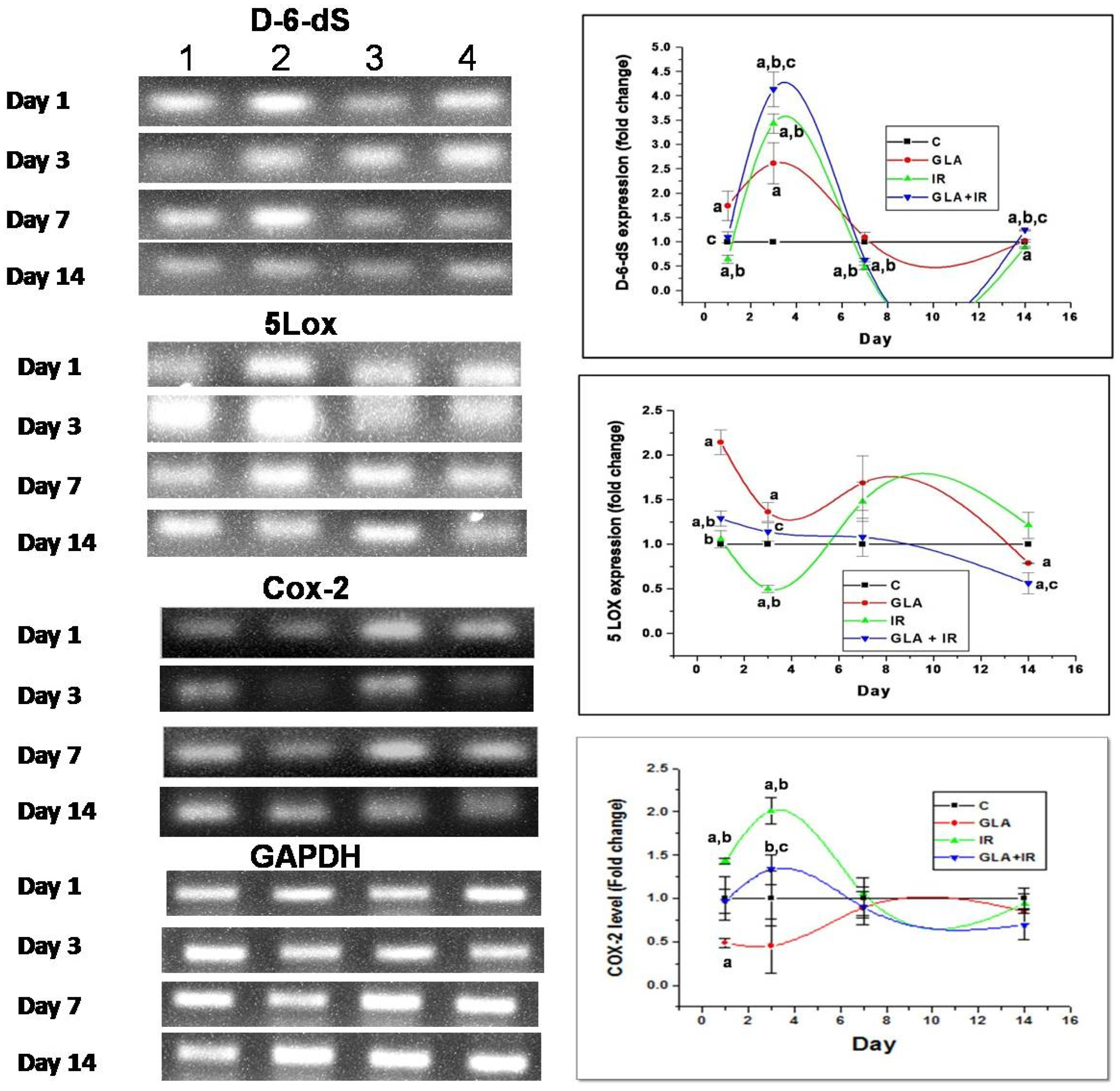 Biomolecules 12 00797 g012