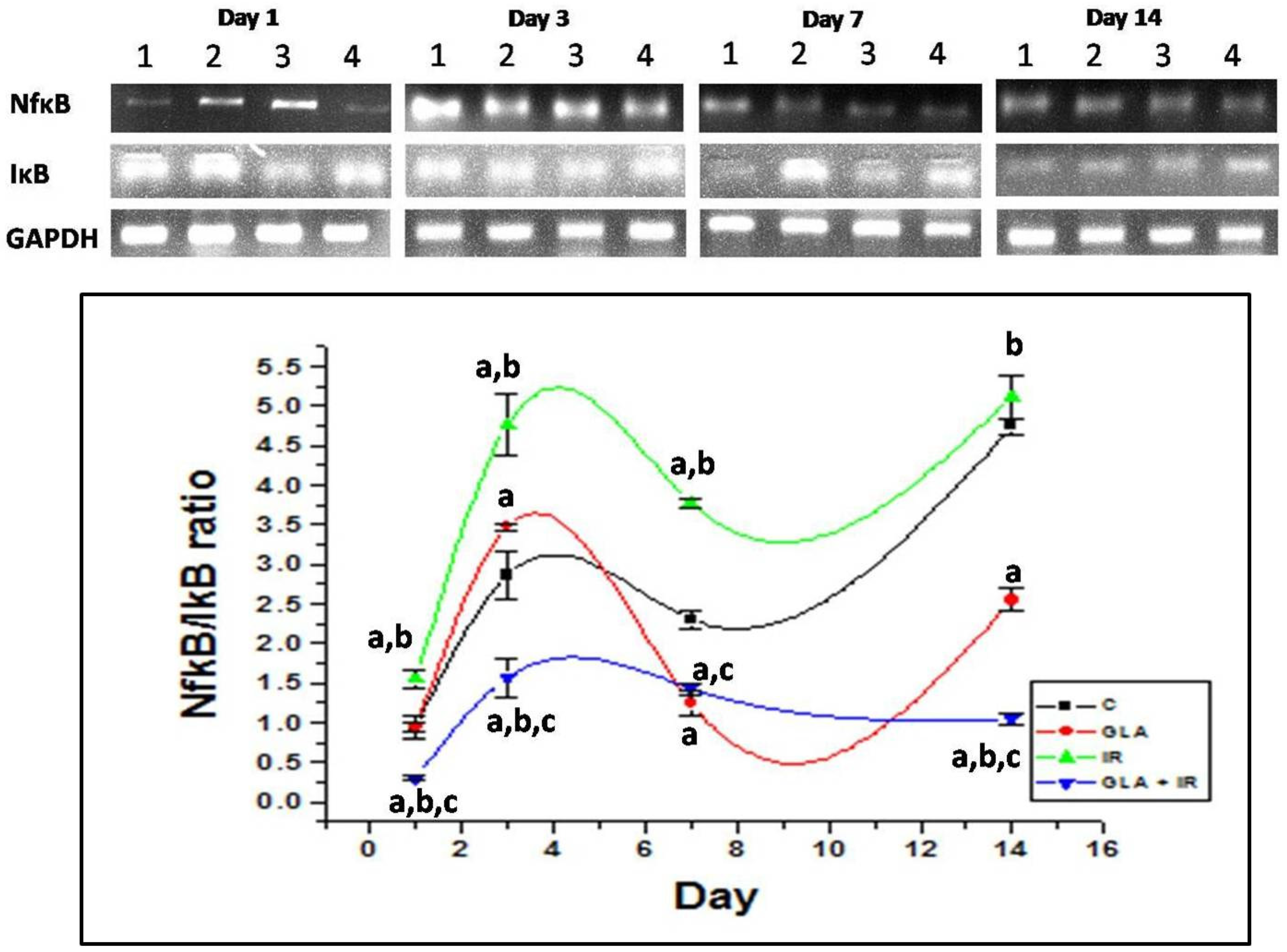 Biomolecules 12 00797 g014