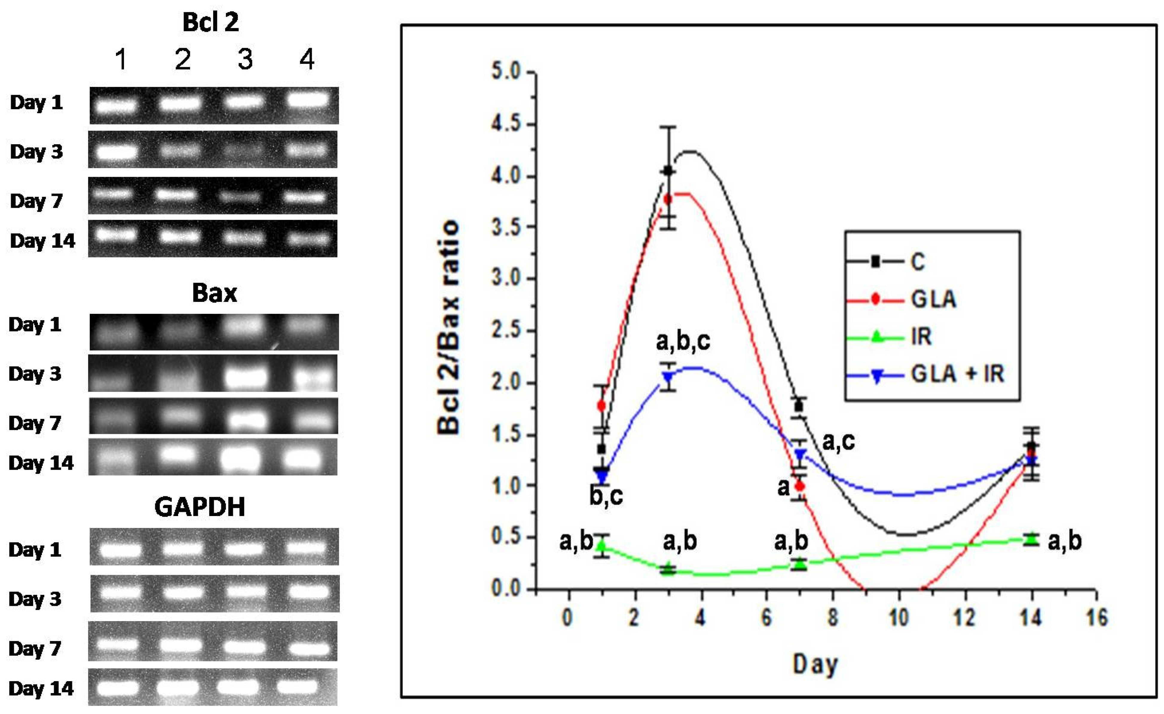 Biomolecules 12 00797 g015