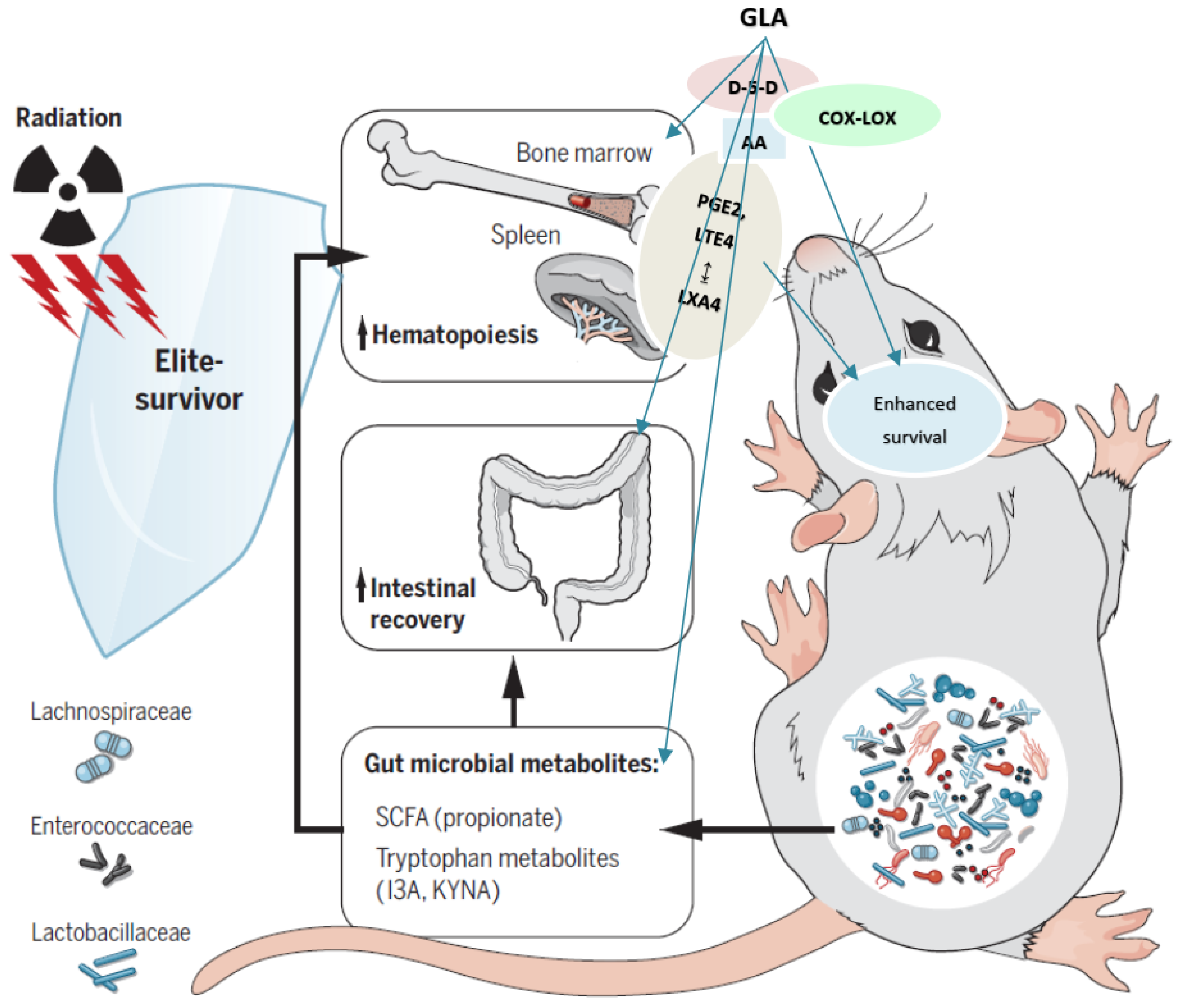 Biomolecules 12 00797 g018
