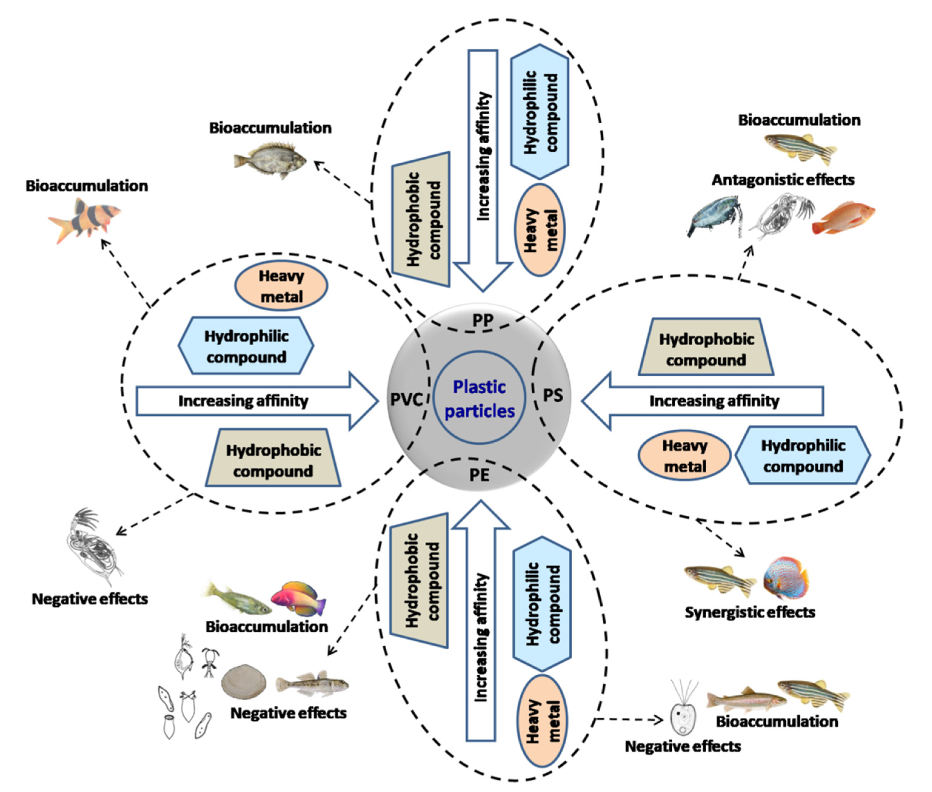 Biomolecules 12 00798 g004