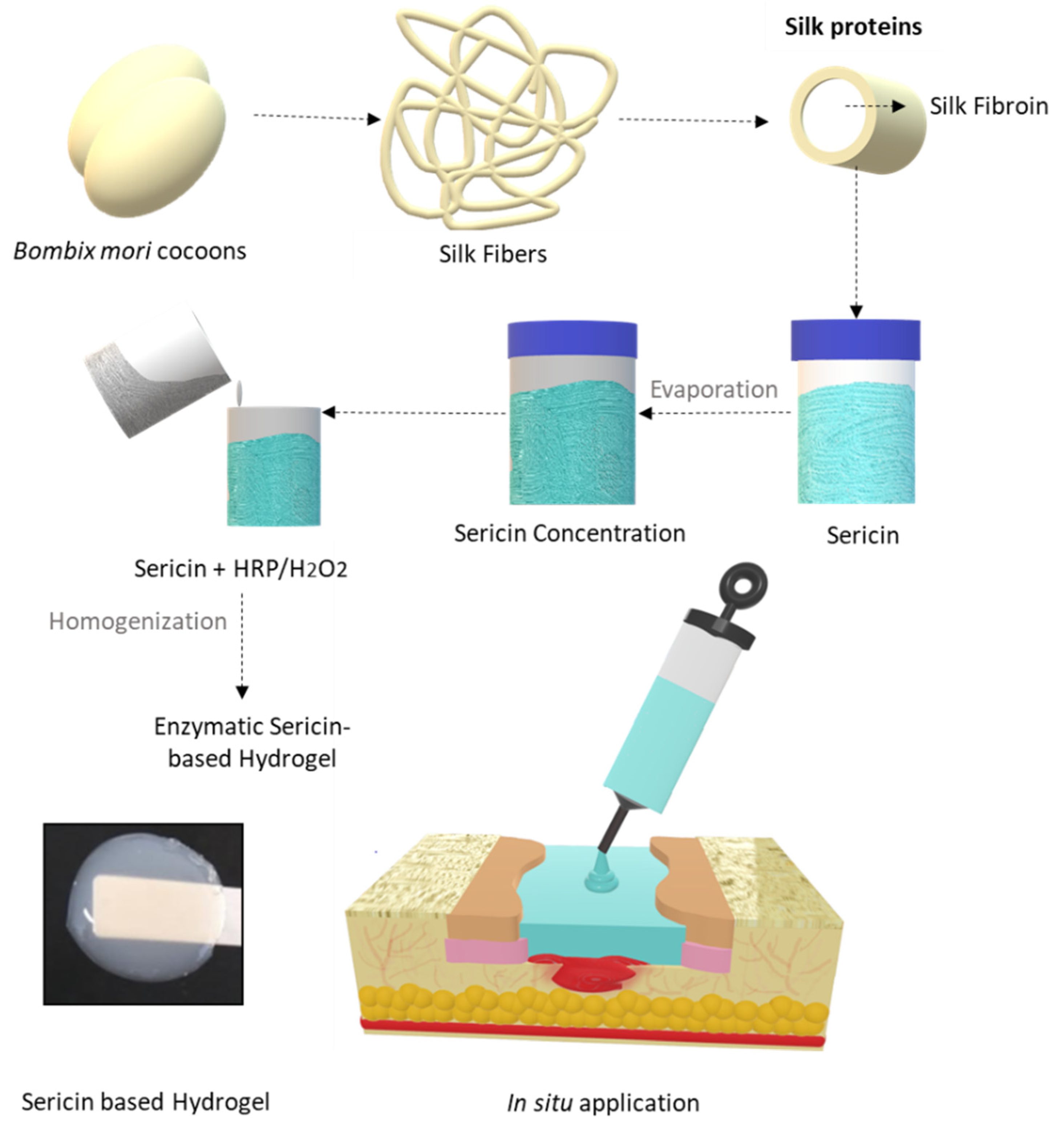 Biomolecules 12 00801 g001