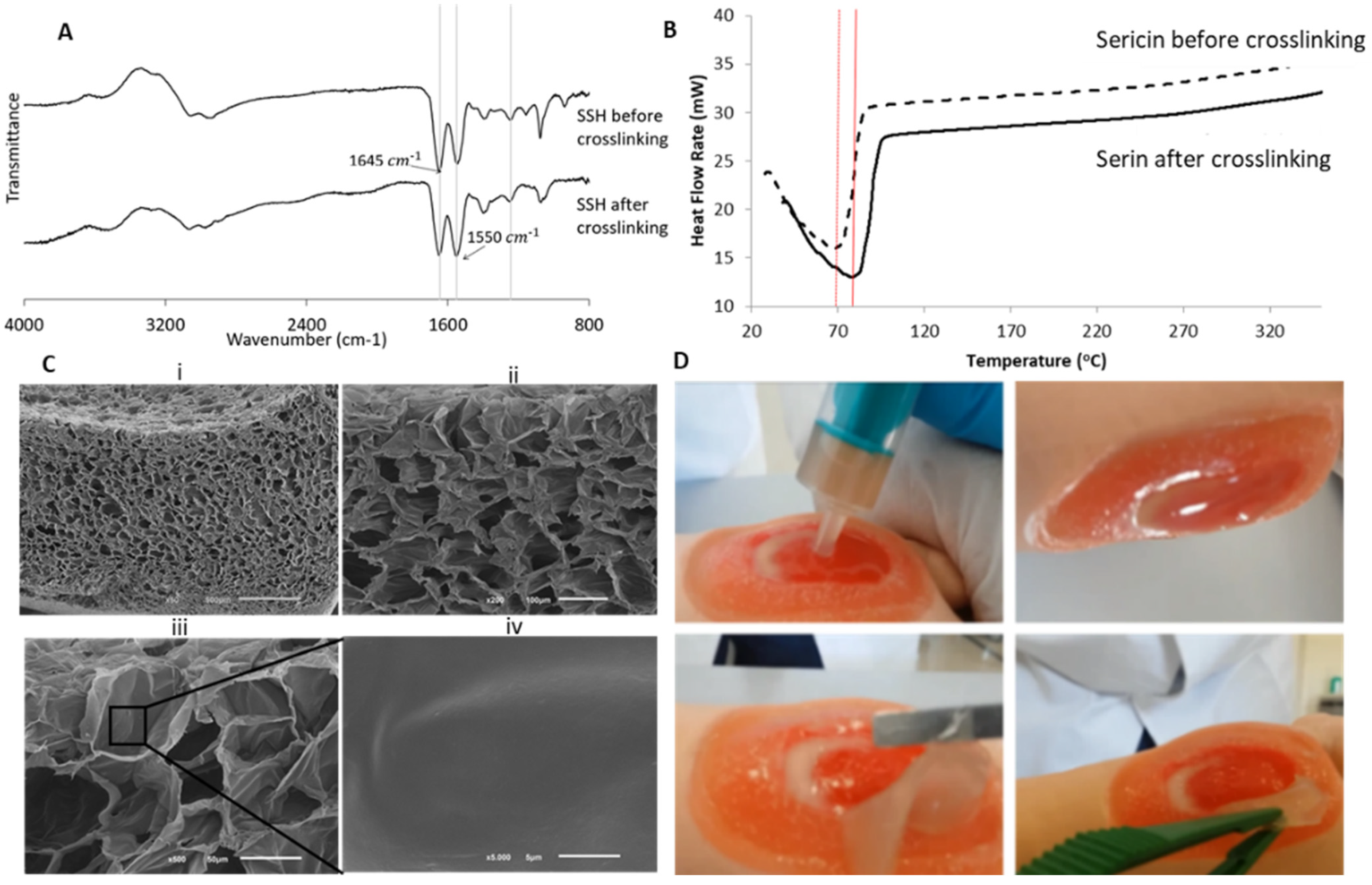 Biomolecules 12 00801 g002