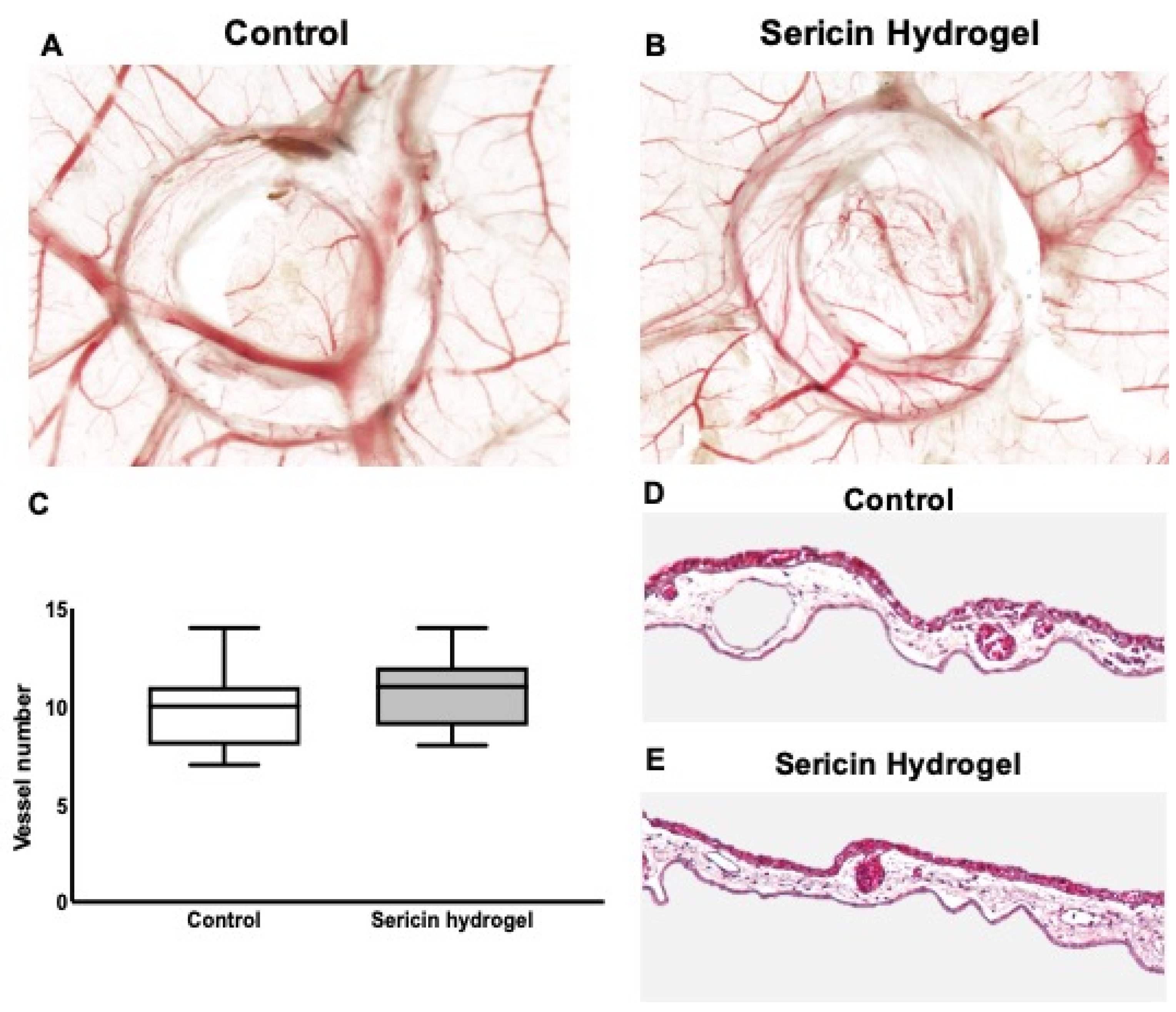 Biomolecules 12 00801 g005