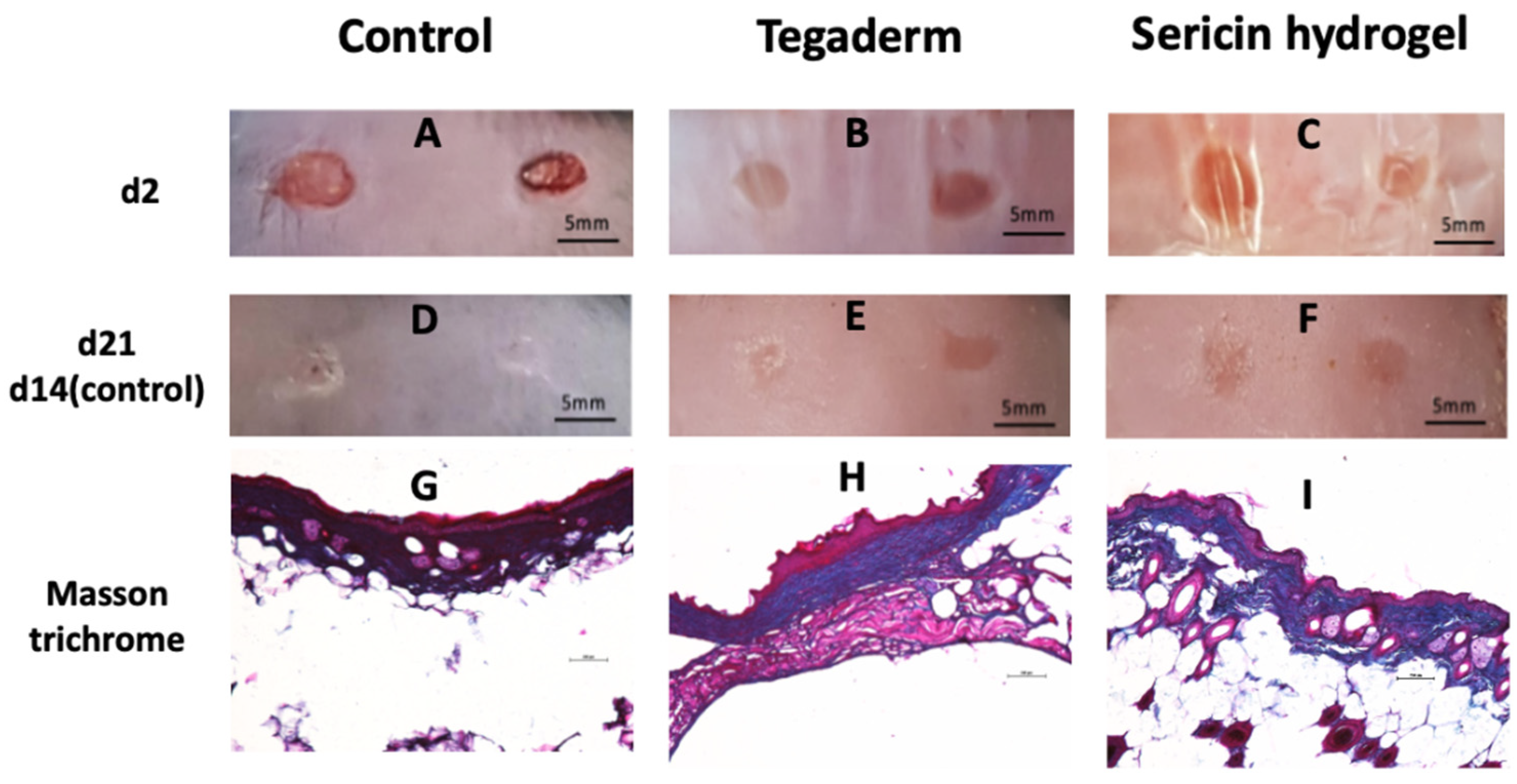 Biomolecules 12 00801 g006