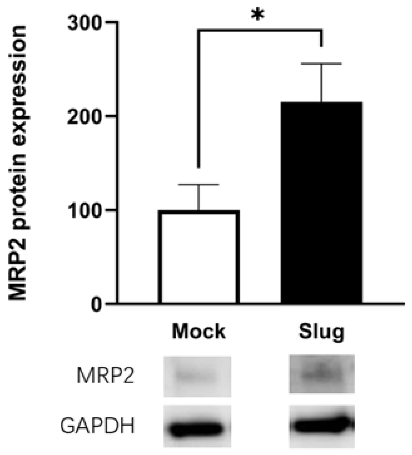 Biomolecules 12 00806 g003