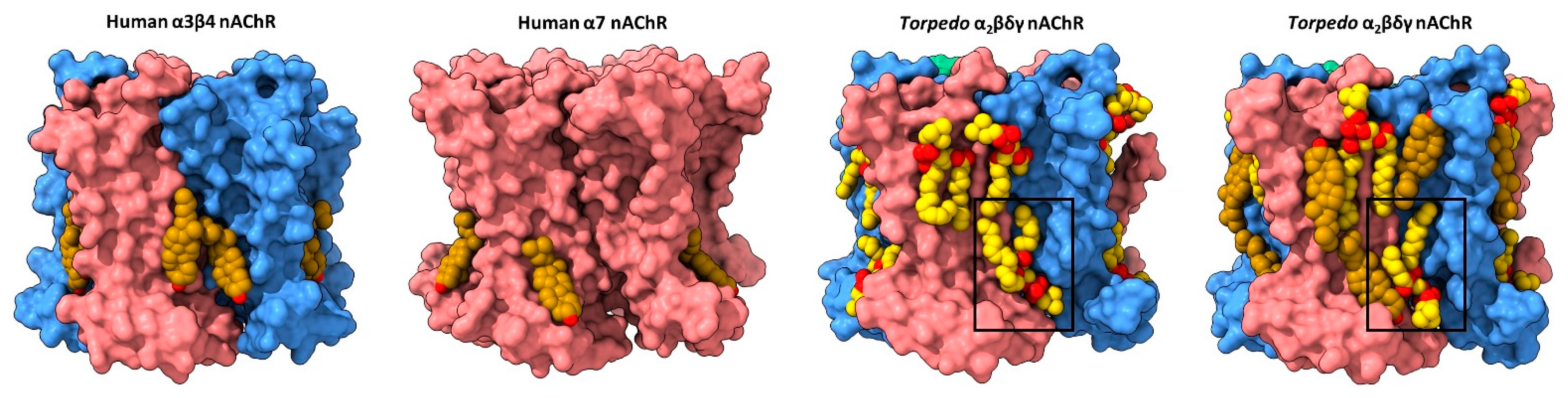 Biomolecules 12 00814 g002