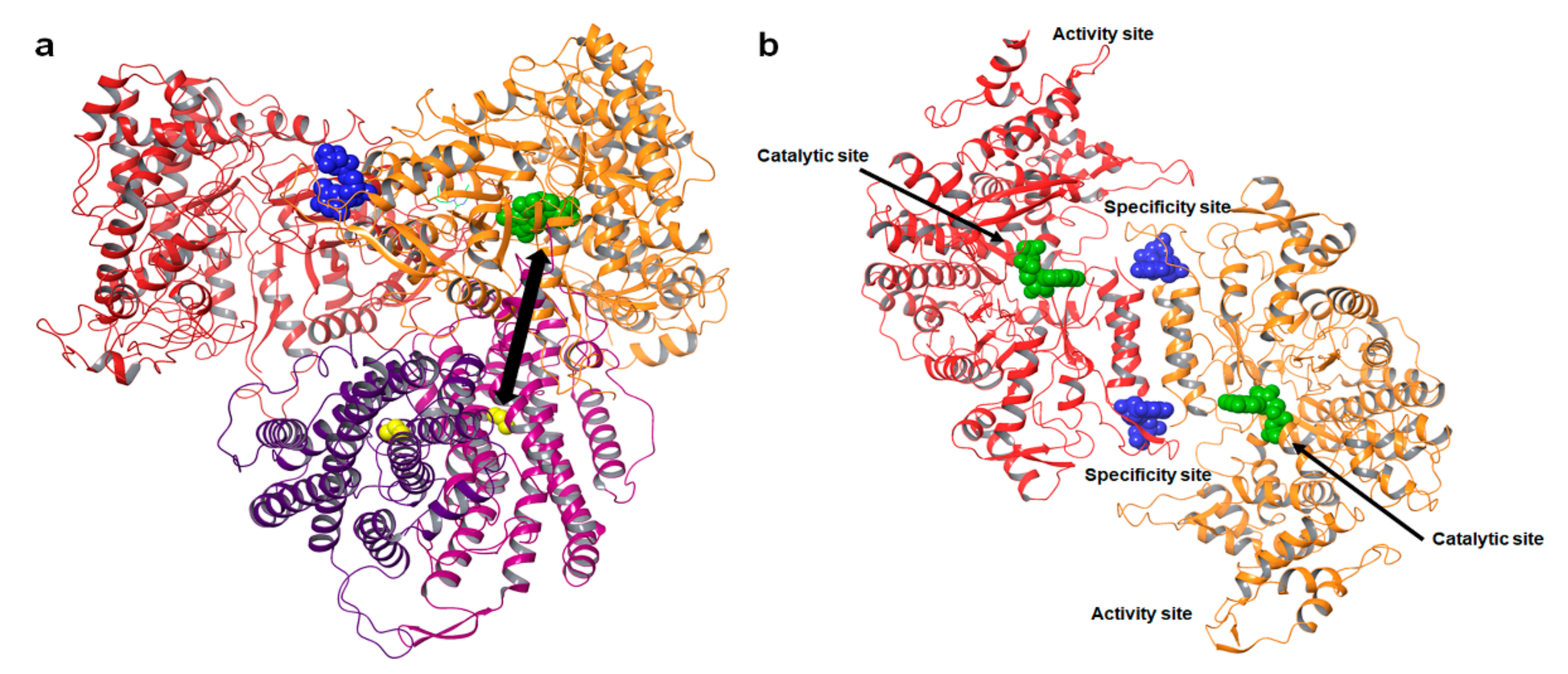 Biomolecules 12 00815 g001 Biomolecules 12 00815 g001