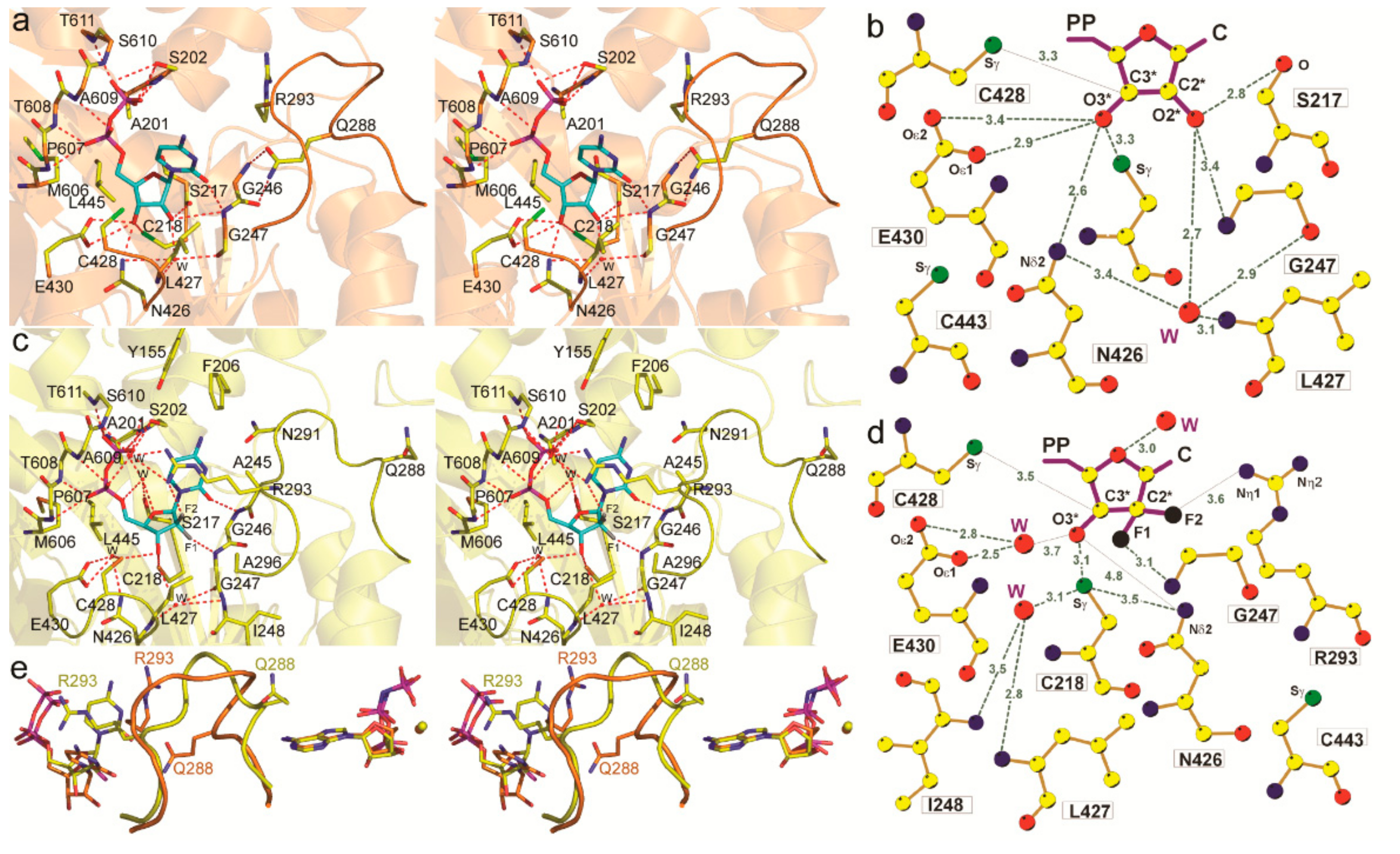 Biomolecules 12 00815 g003 Biomolecules 12 00815 g003