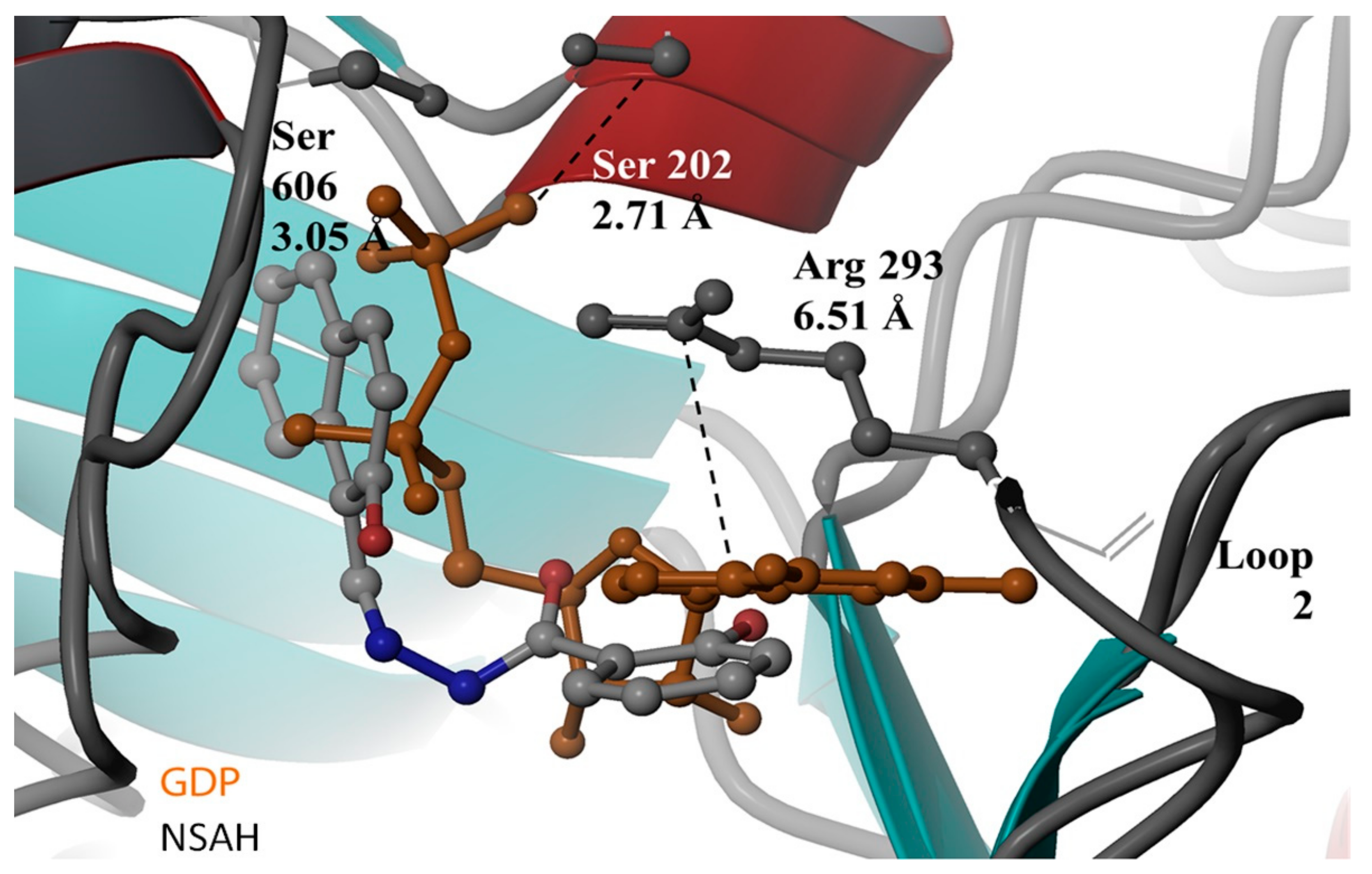Biomolecules 12 00815 g005 Biomolecules 12 00815 g005