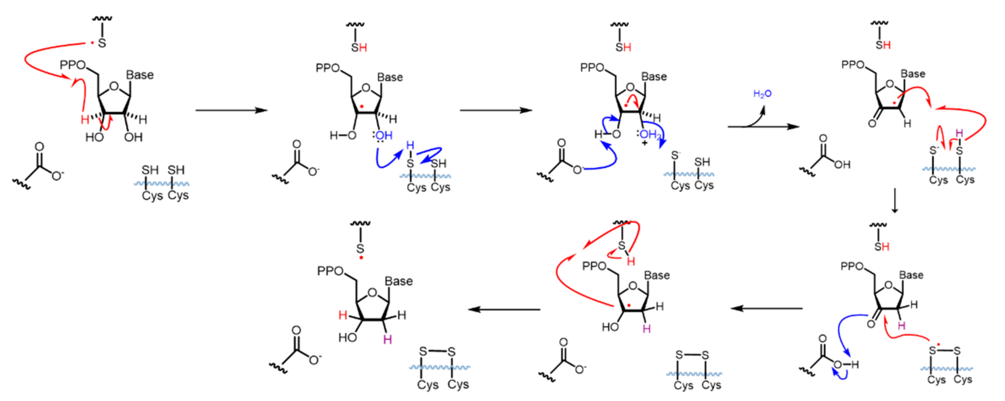 Biomolecules 12 00815 sch001 Biomolecules 12 00815 sch001