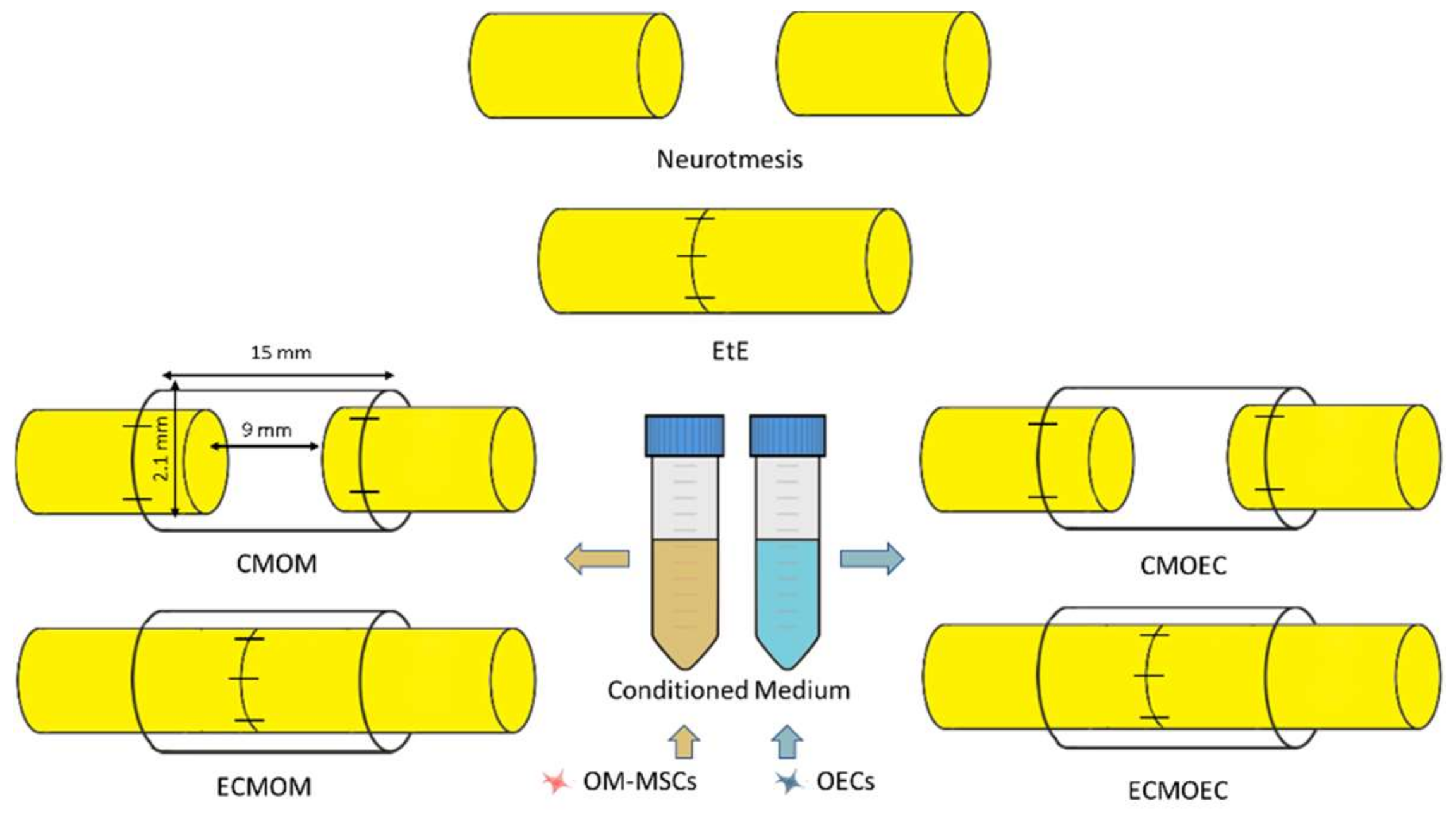 Biomolecules 12 00818 g001 550