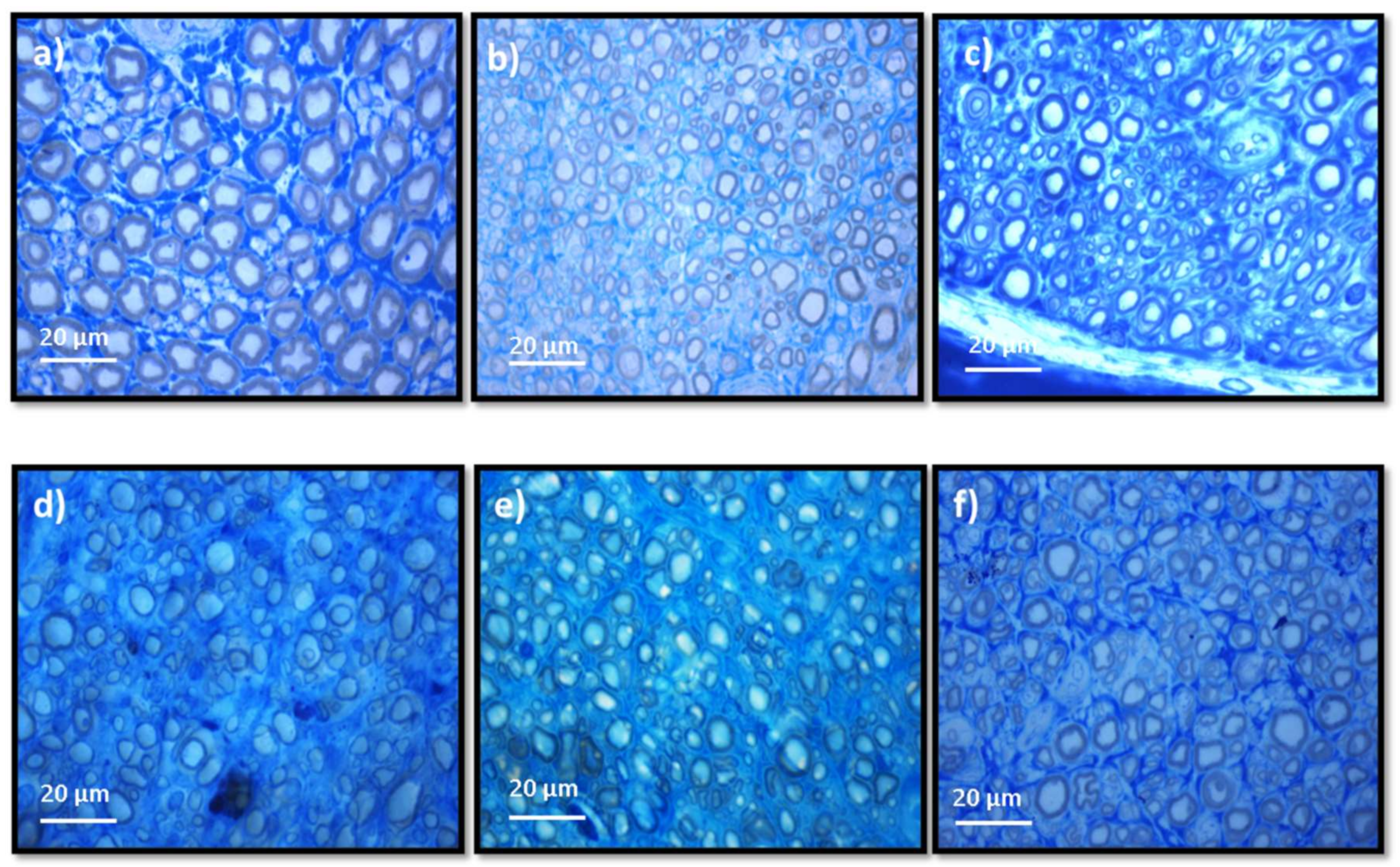 Biomolecules 12 00818 g010 550