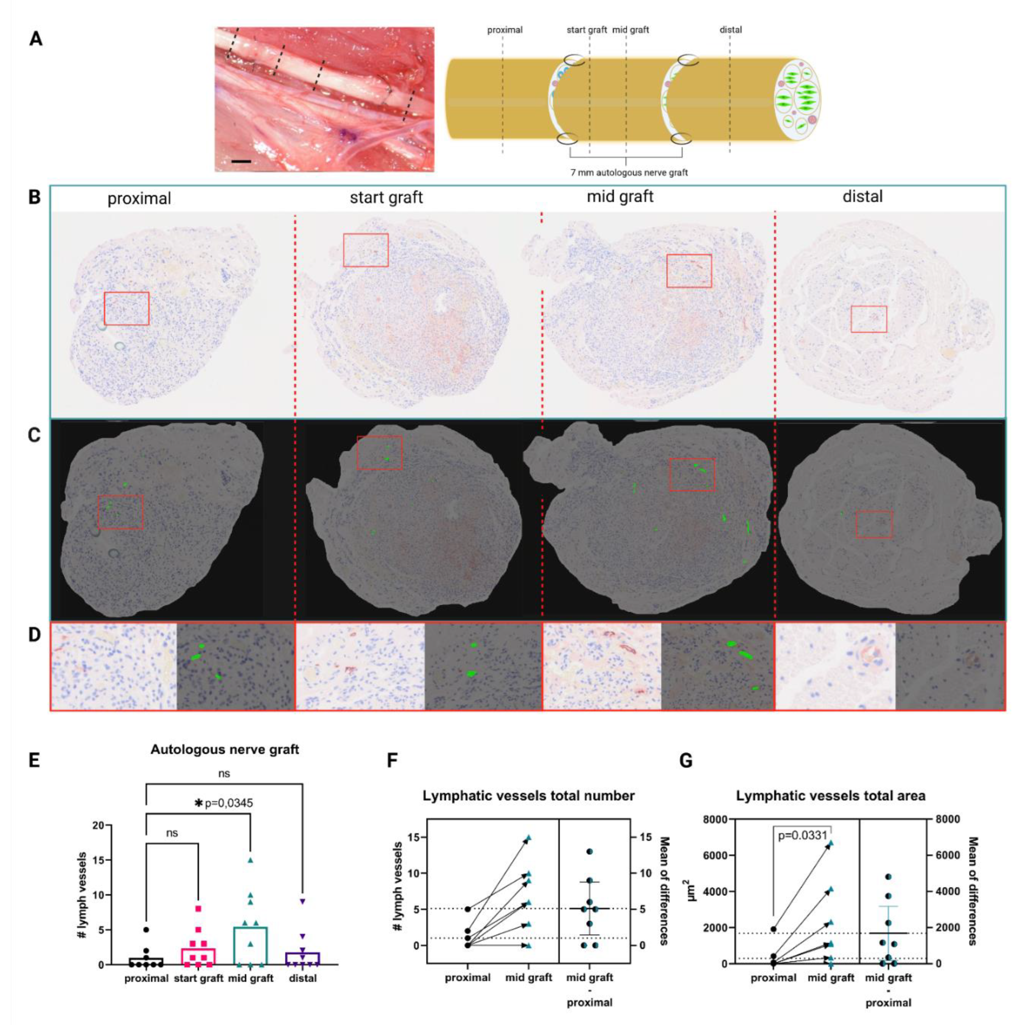 Biomolecules 12 00820 g001 550