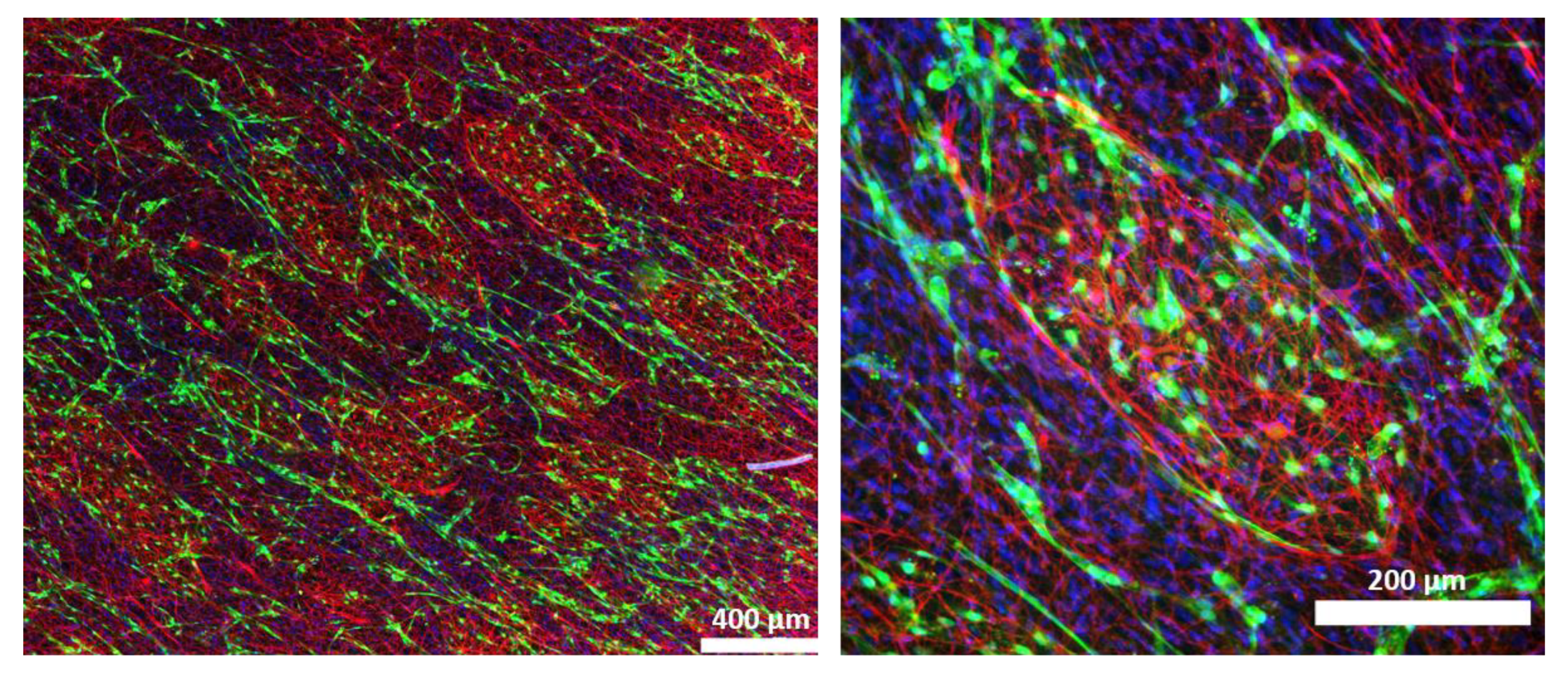 Biomolecules 12 00820 g006 550