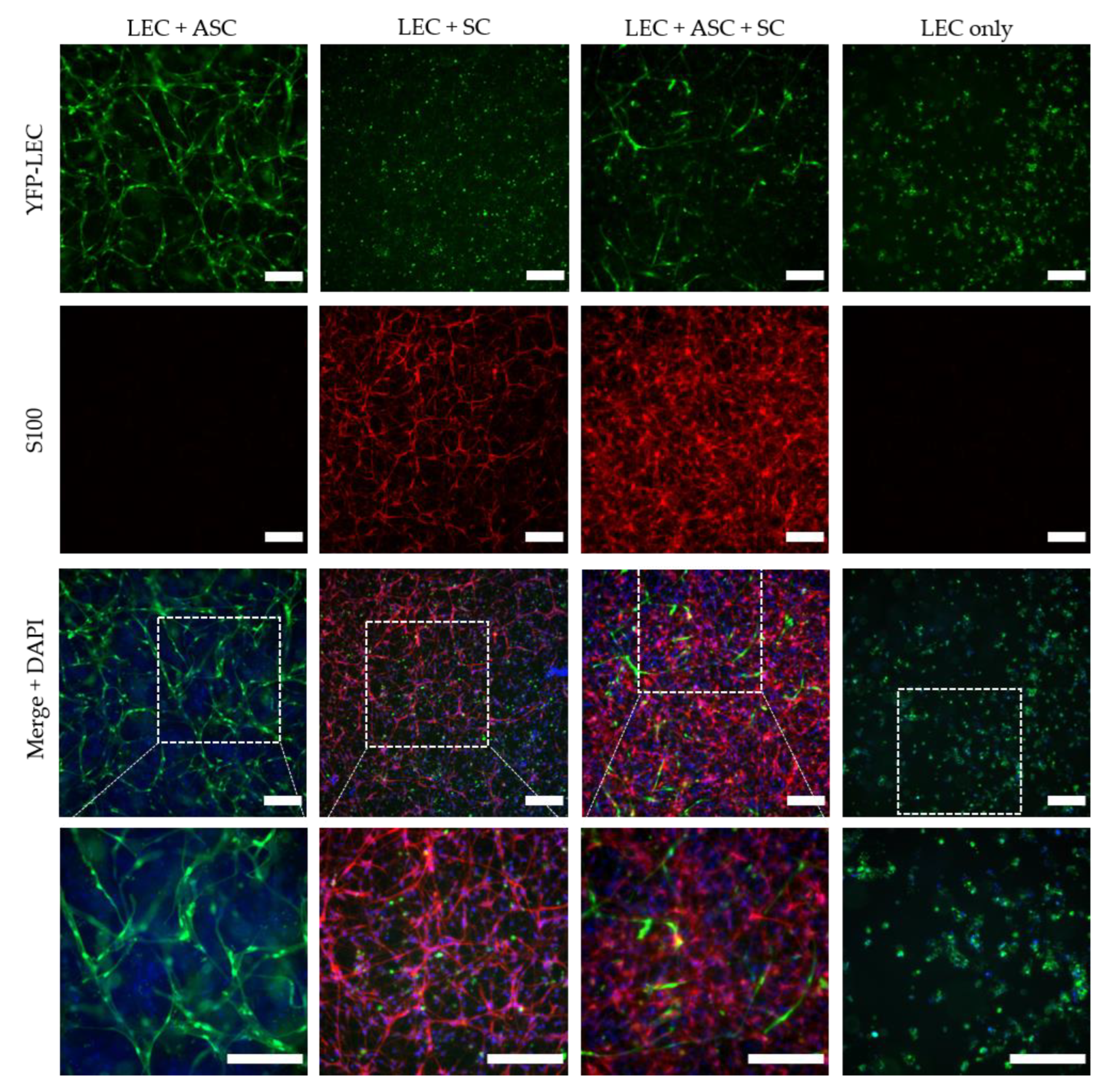 Biomolecules 12 00820 g008 550