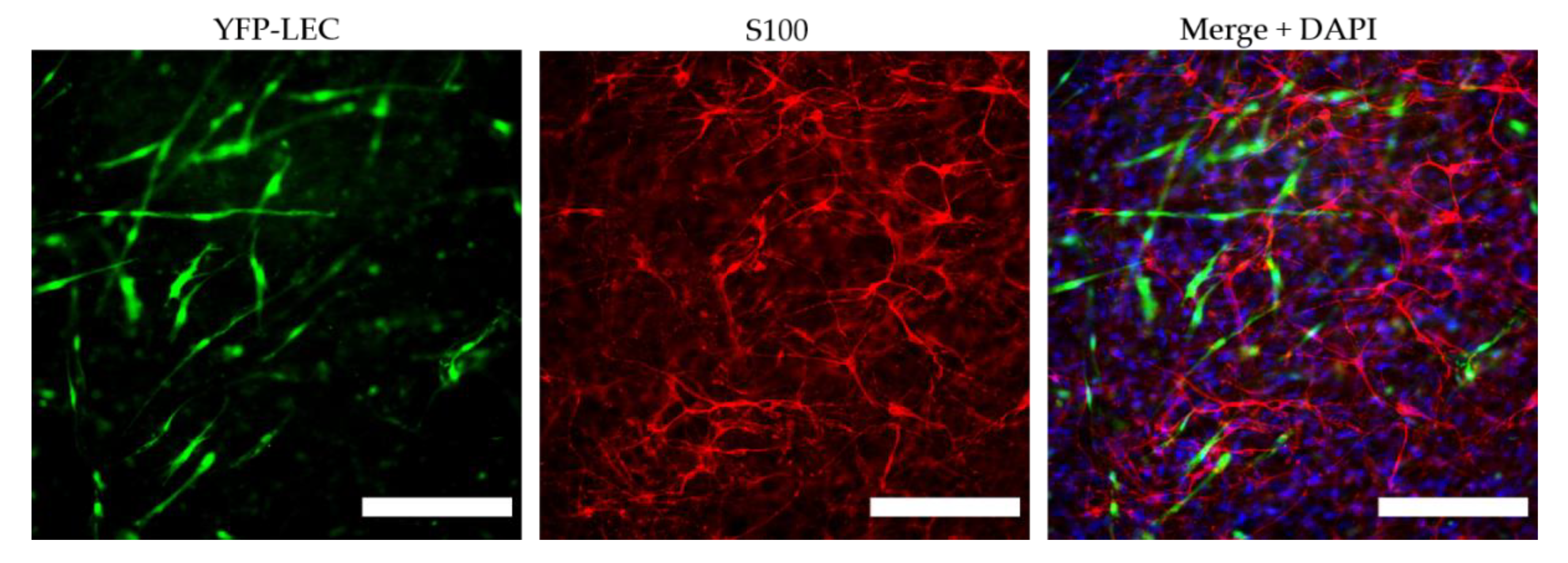 Biomolecules 12 00820 g009 550