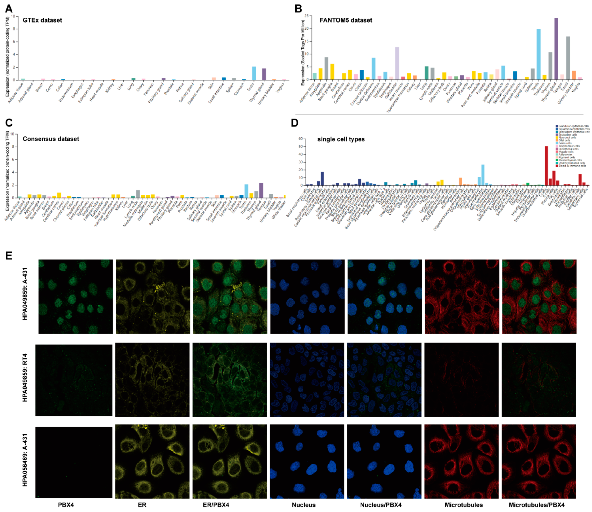 Biomolecules 12 00822 g002