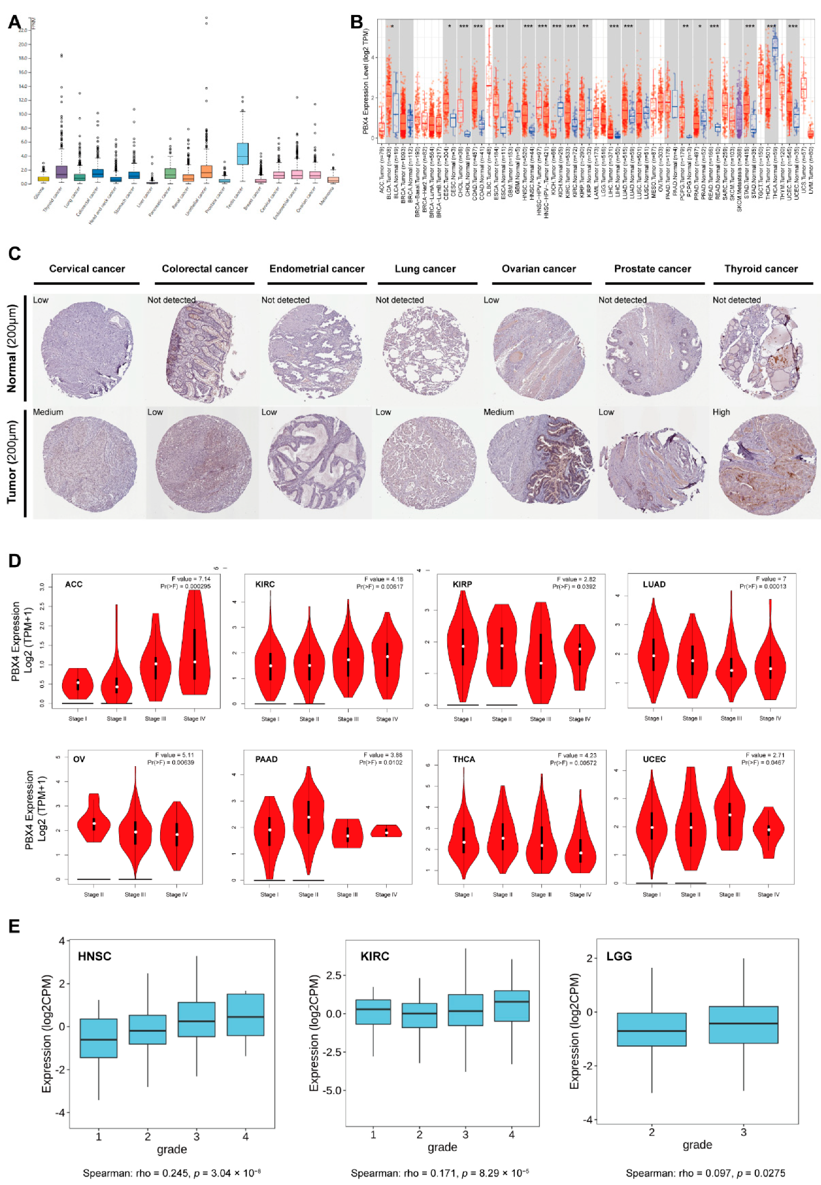 Biomolecules 12 00822 g003