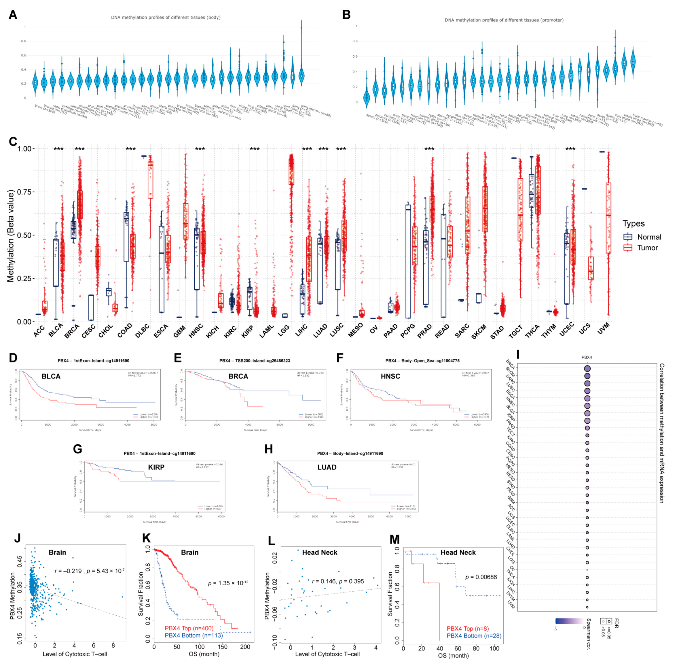 Biomolecules 12 00822 g008