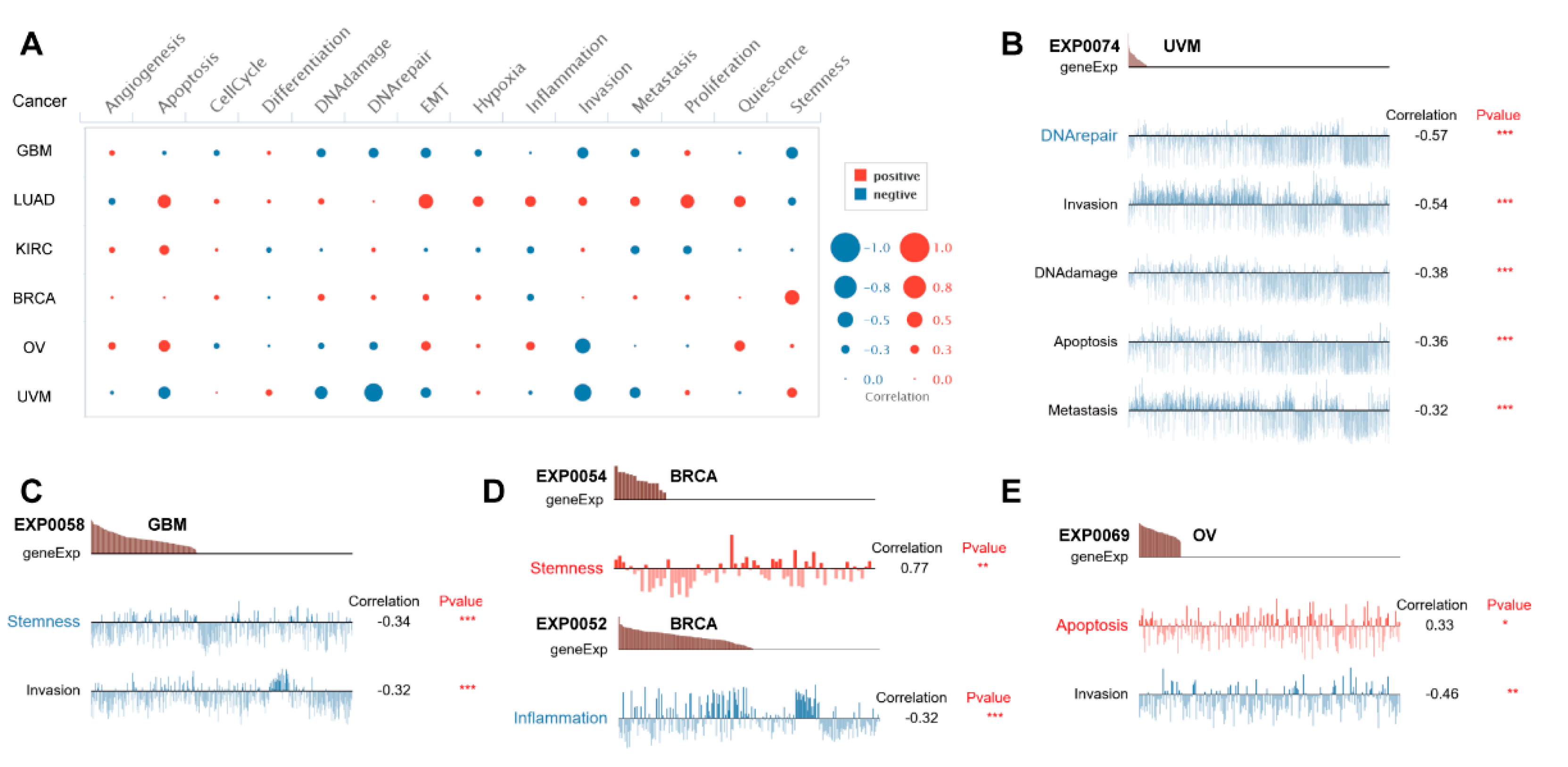 Biomolecules 12 00822 g009
