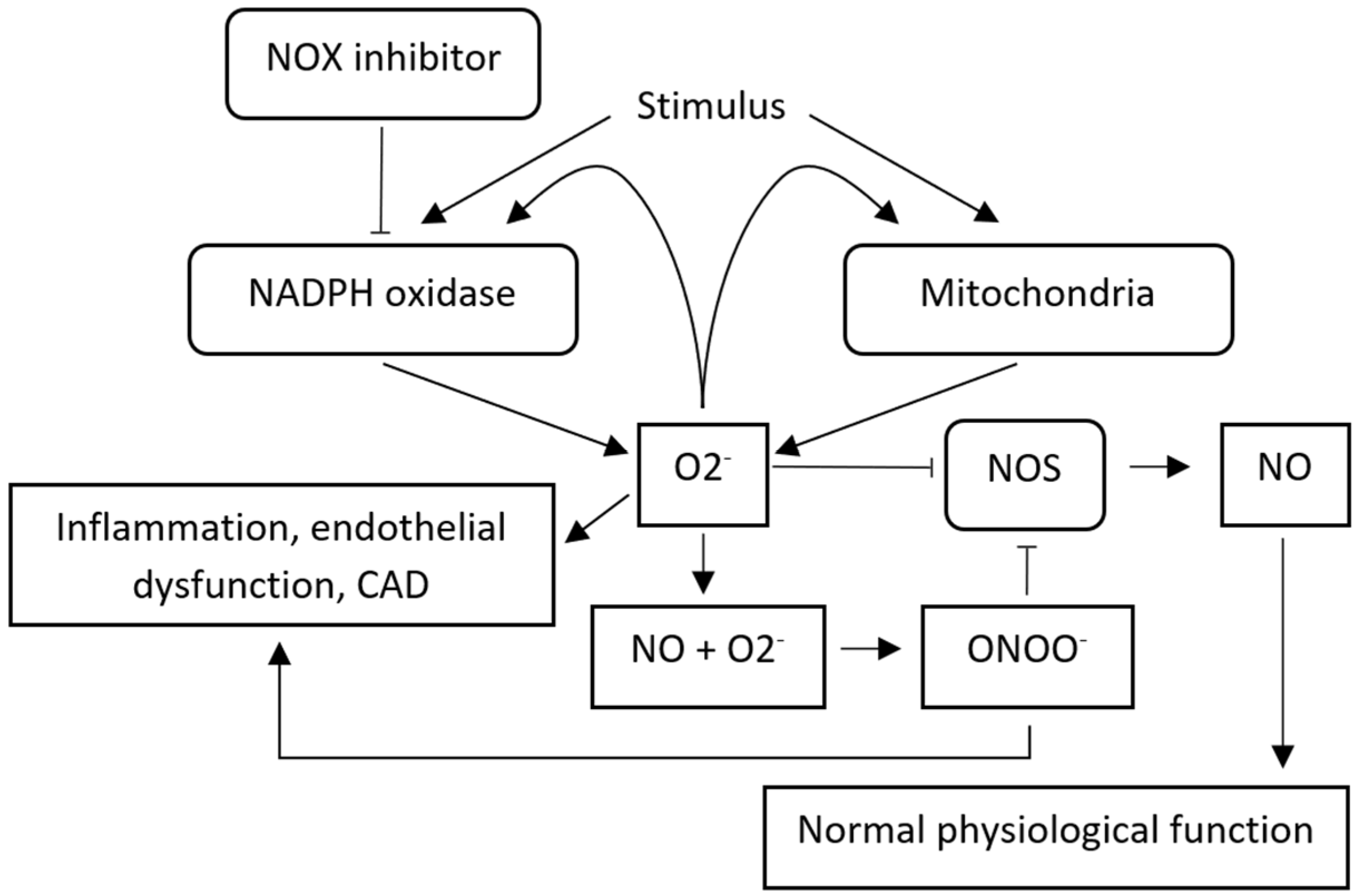 Biomolecules 12 00823 g002