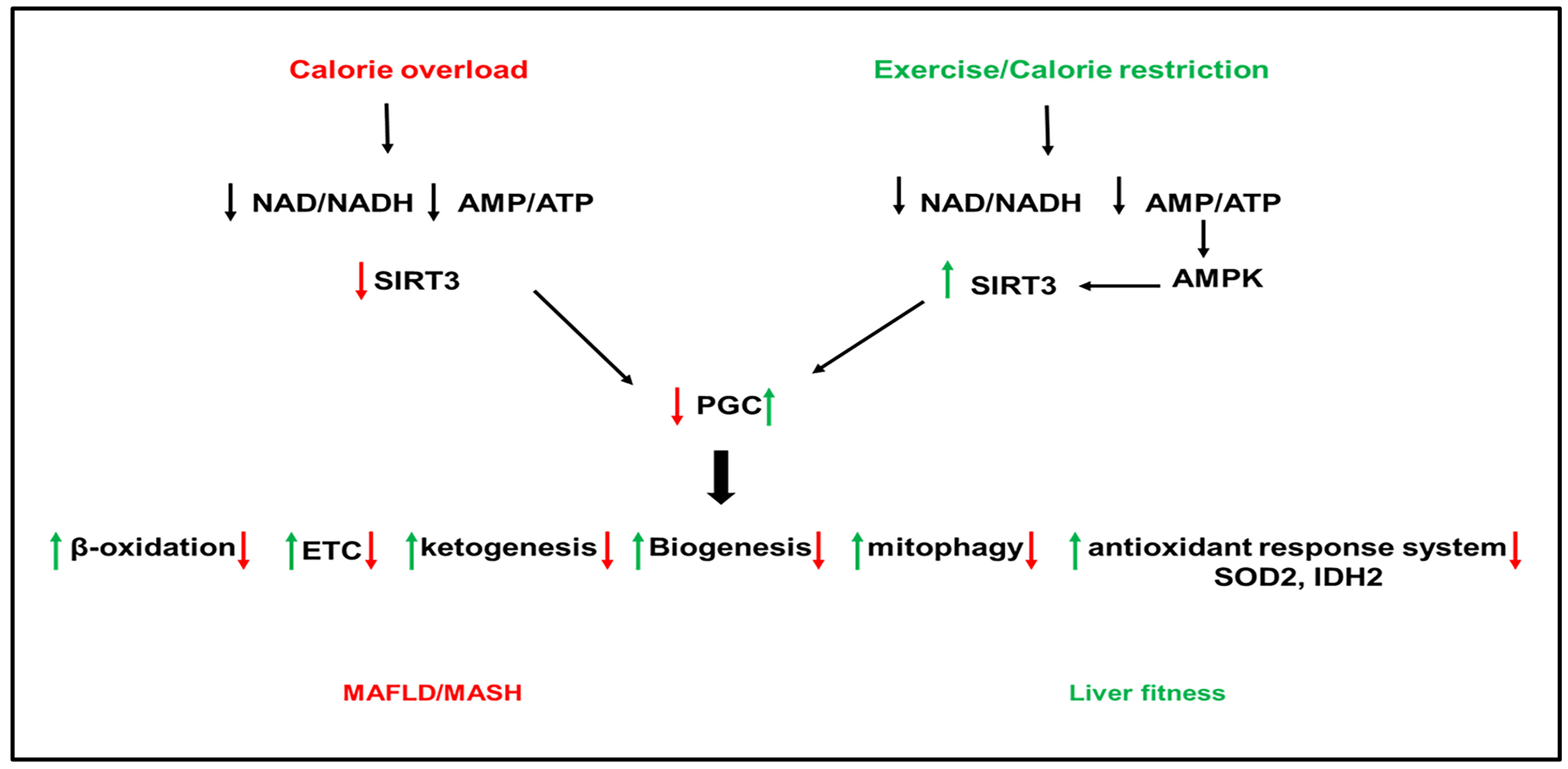 Biomolecules 12 00824 g003 550