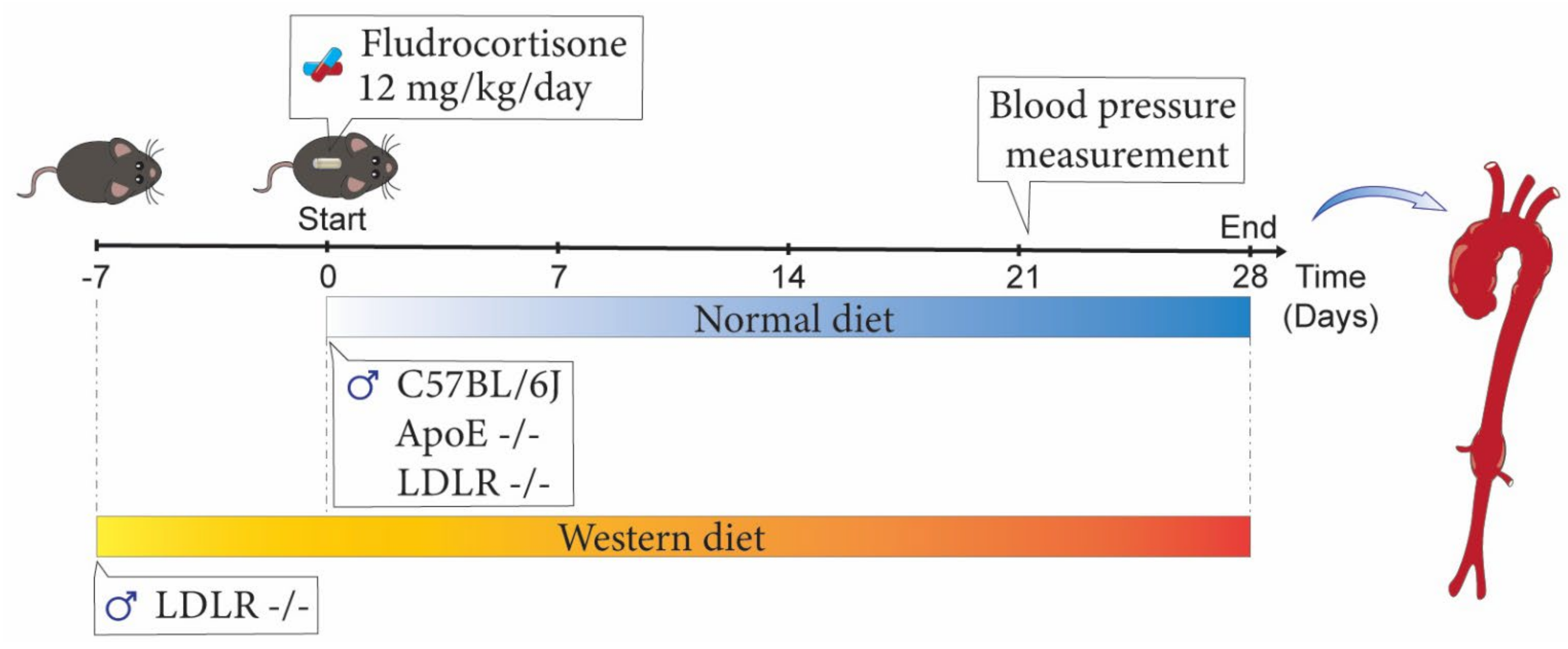 Biomolecules 12 00825 g001