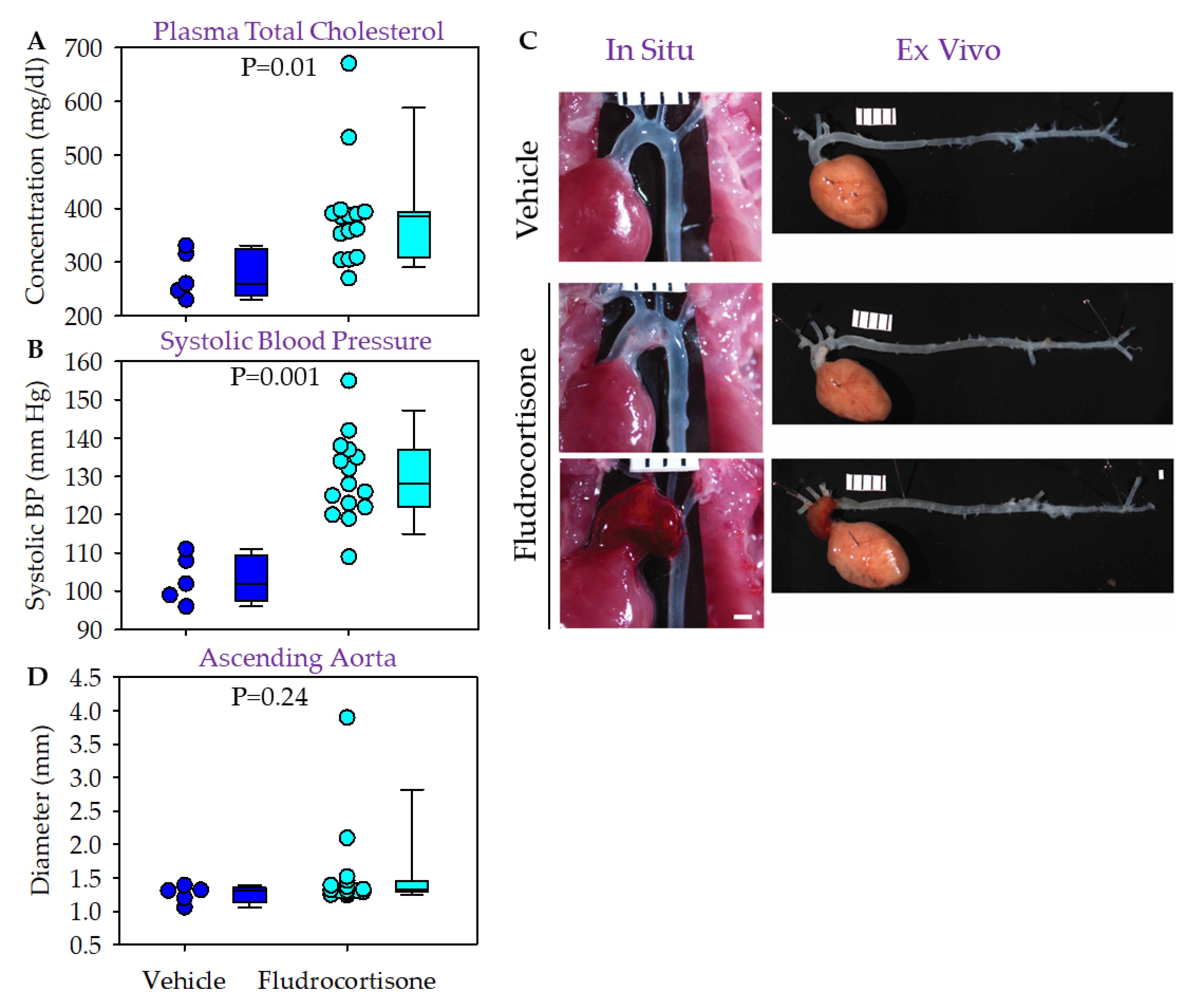 Biomolecules 12 00825 g003