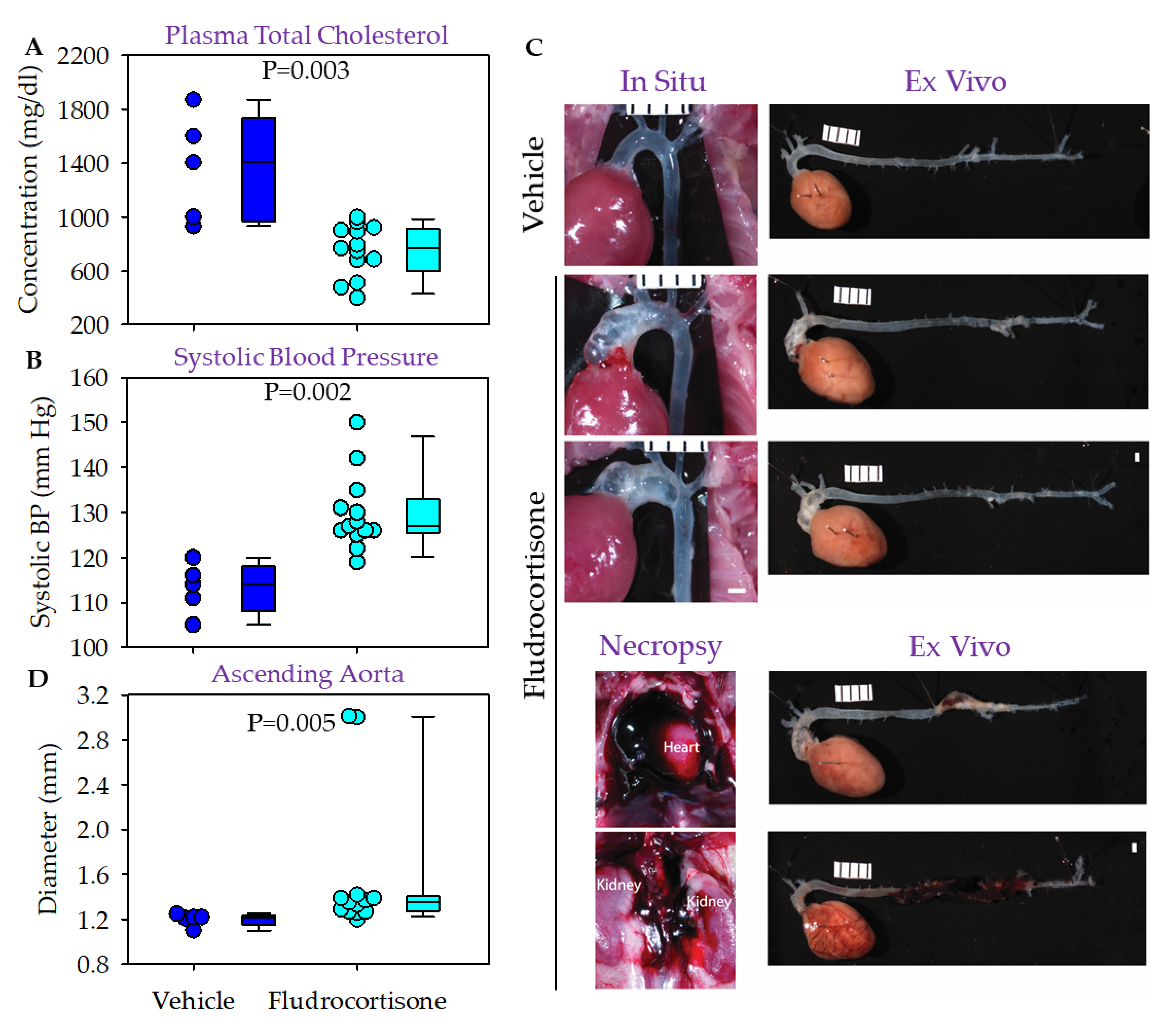 Biomolecules 12 00825 g005