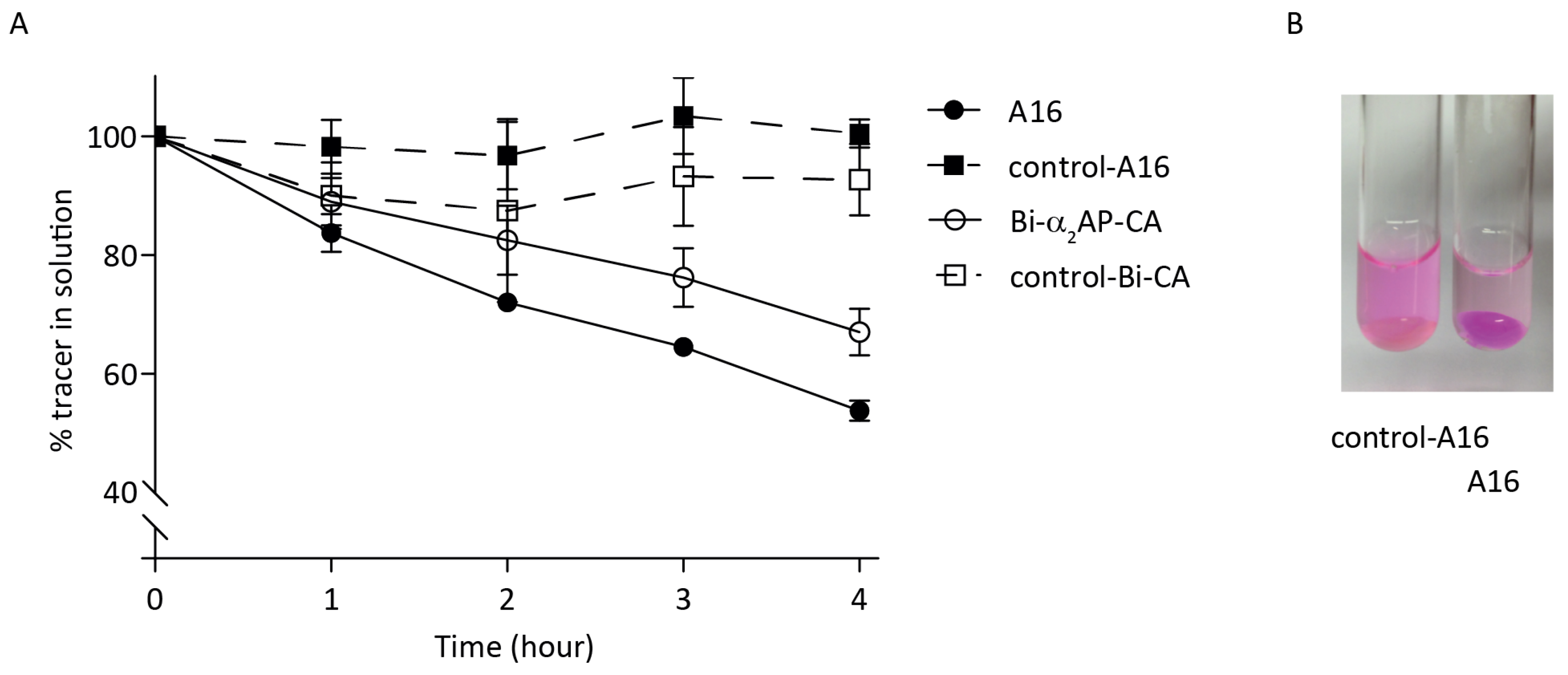 Biomolecules 12 00829 g002 Biomolecules 12 00829 g002