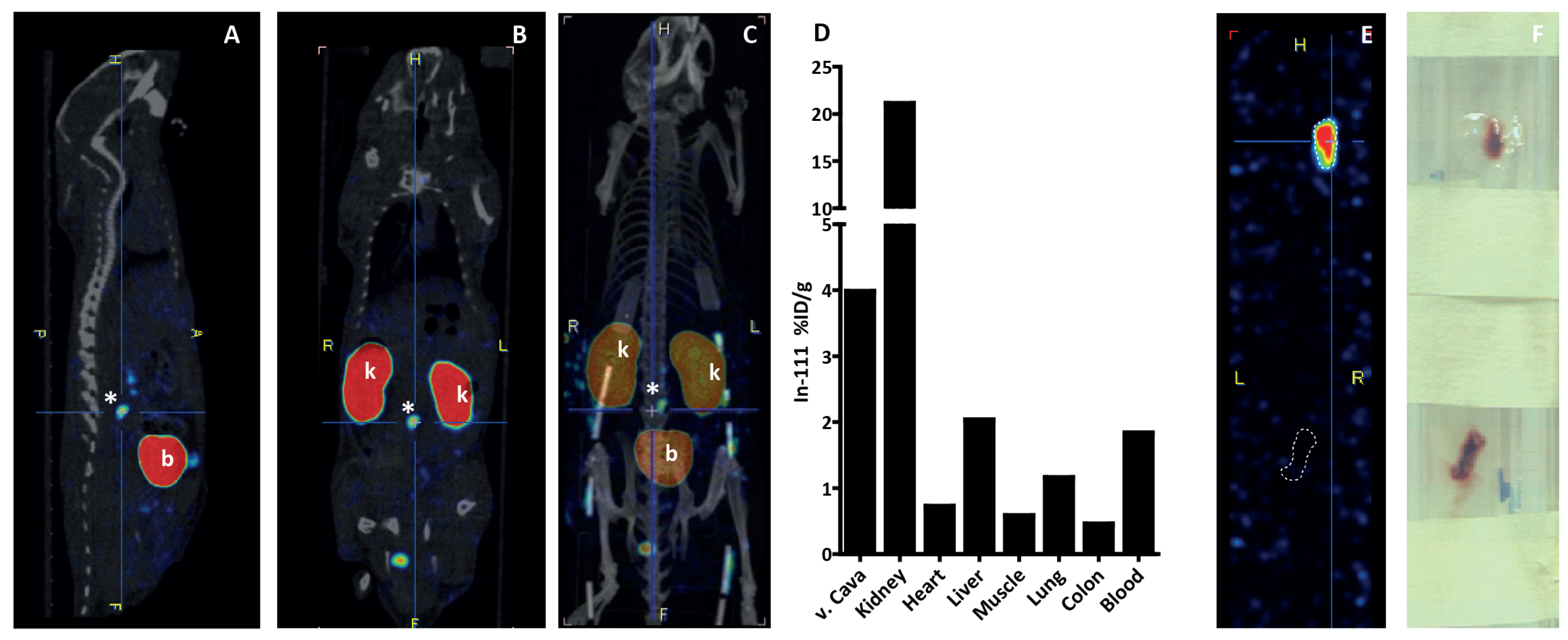 Biomolecules 12 00829 g006 Biomolecules 12 00829 g006
