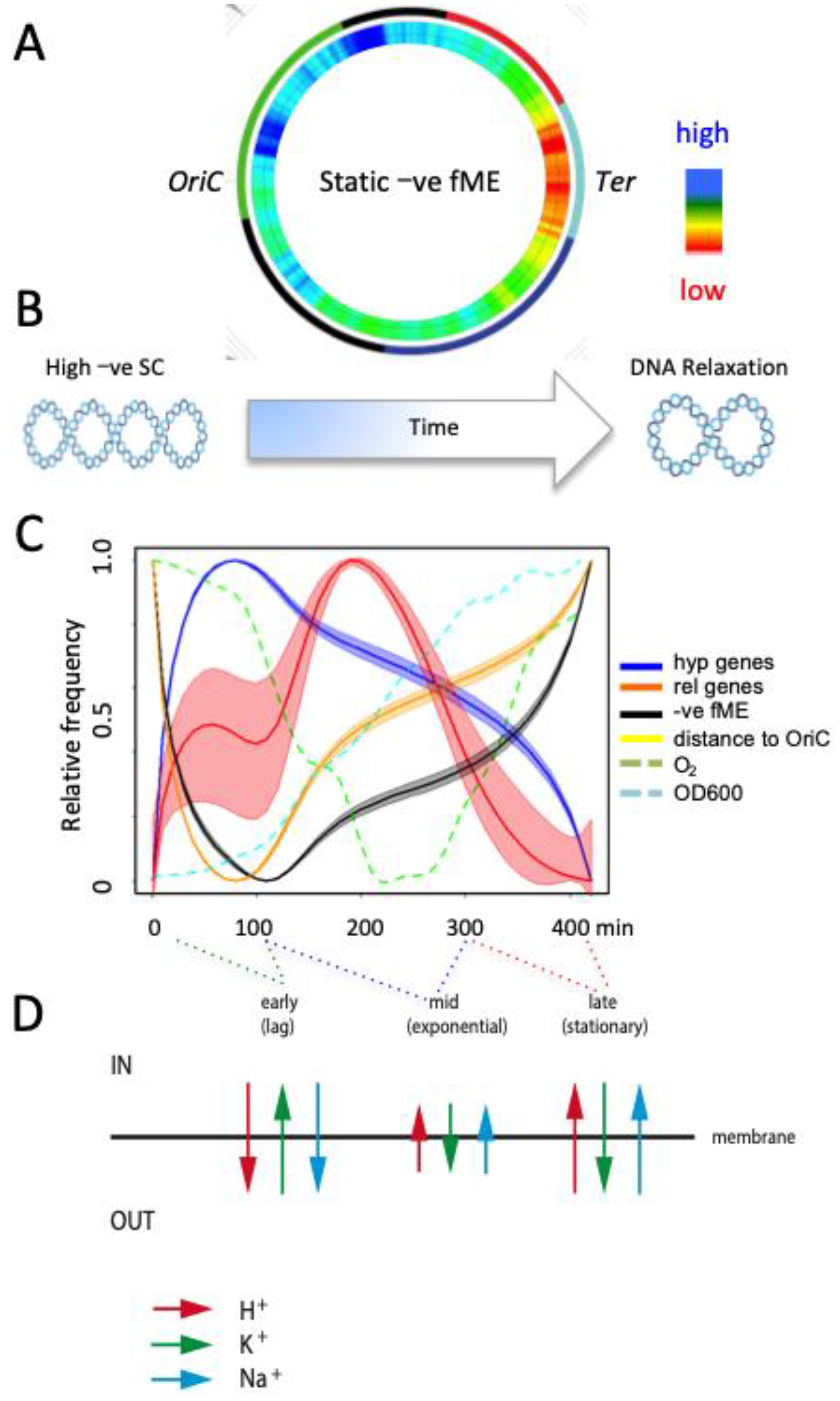 Biomolecules 12 00831 g003 Biomolecules 12 00831 g003