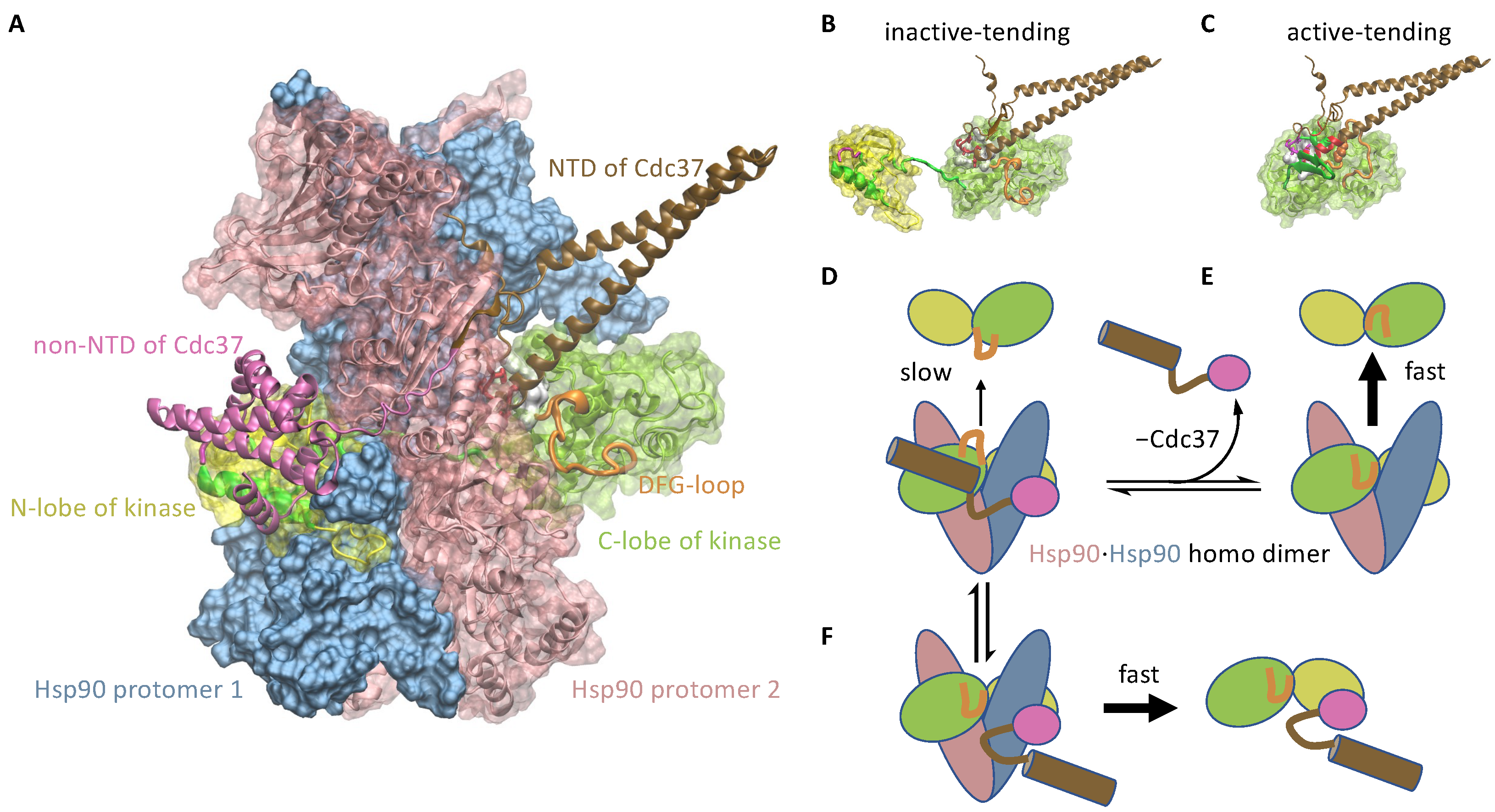 Biomolecules 12 00832 g002
