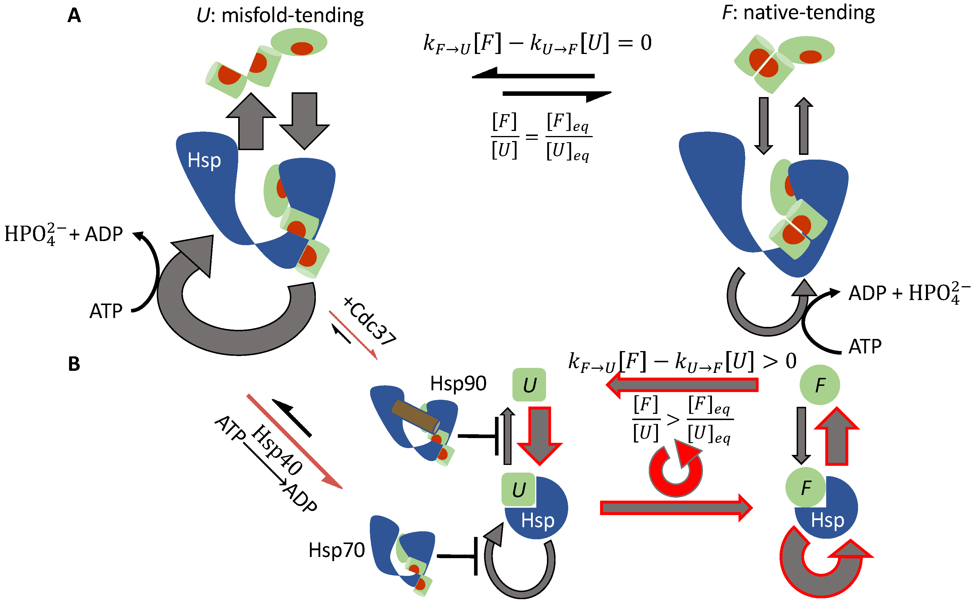 Biomolecules 12 00832 g004