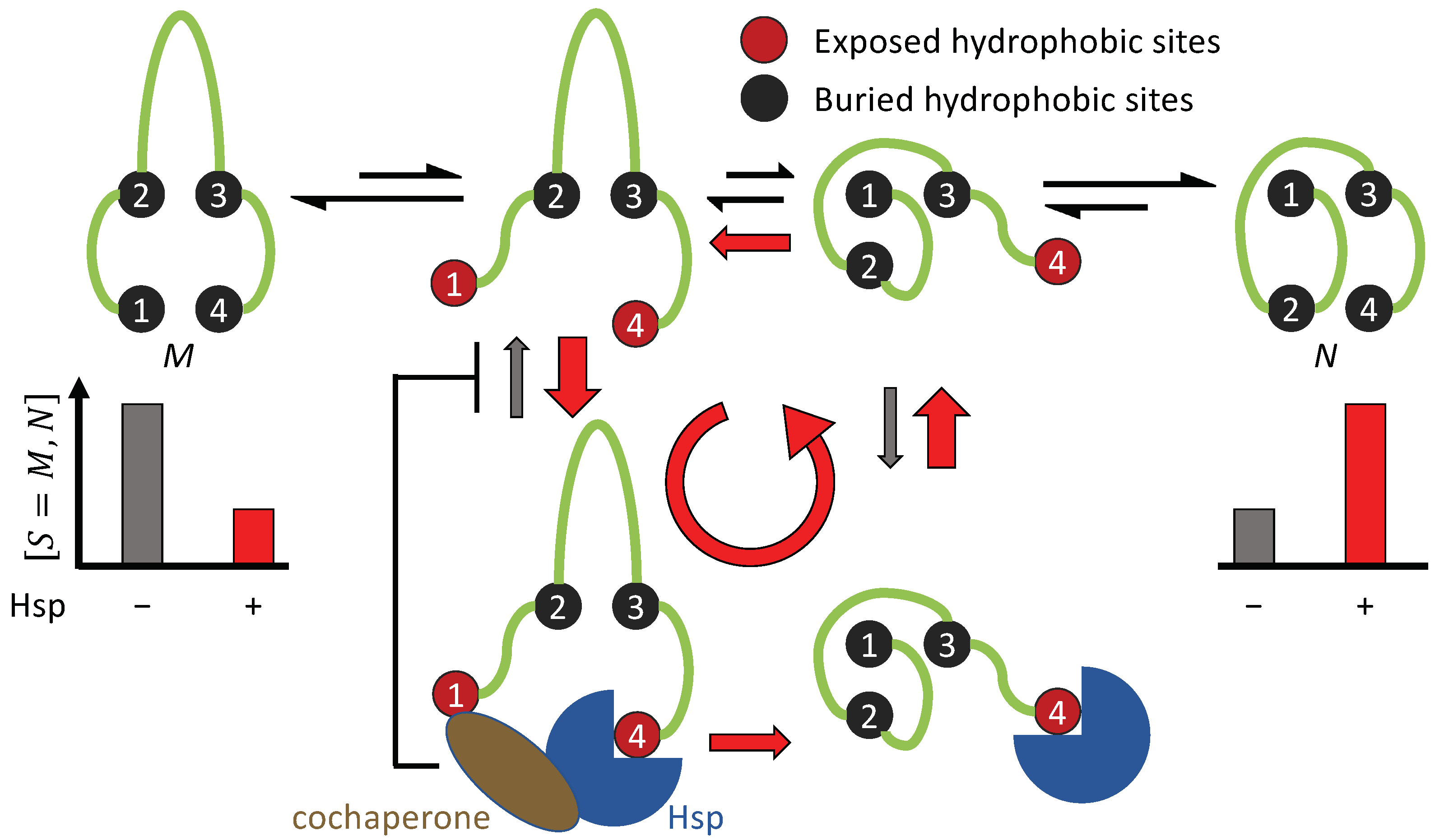 Biomolecules 12 00832 g006