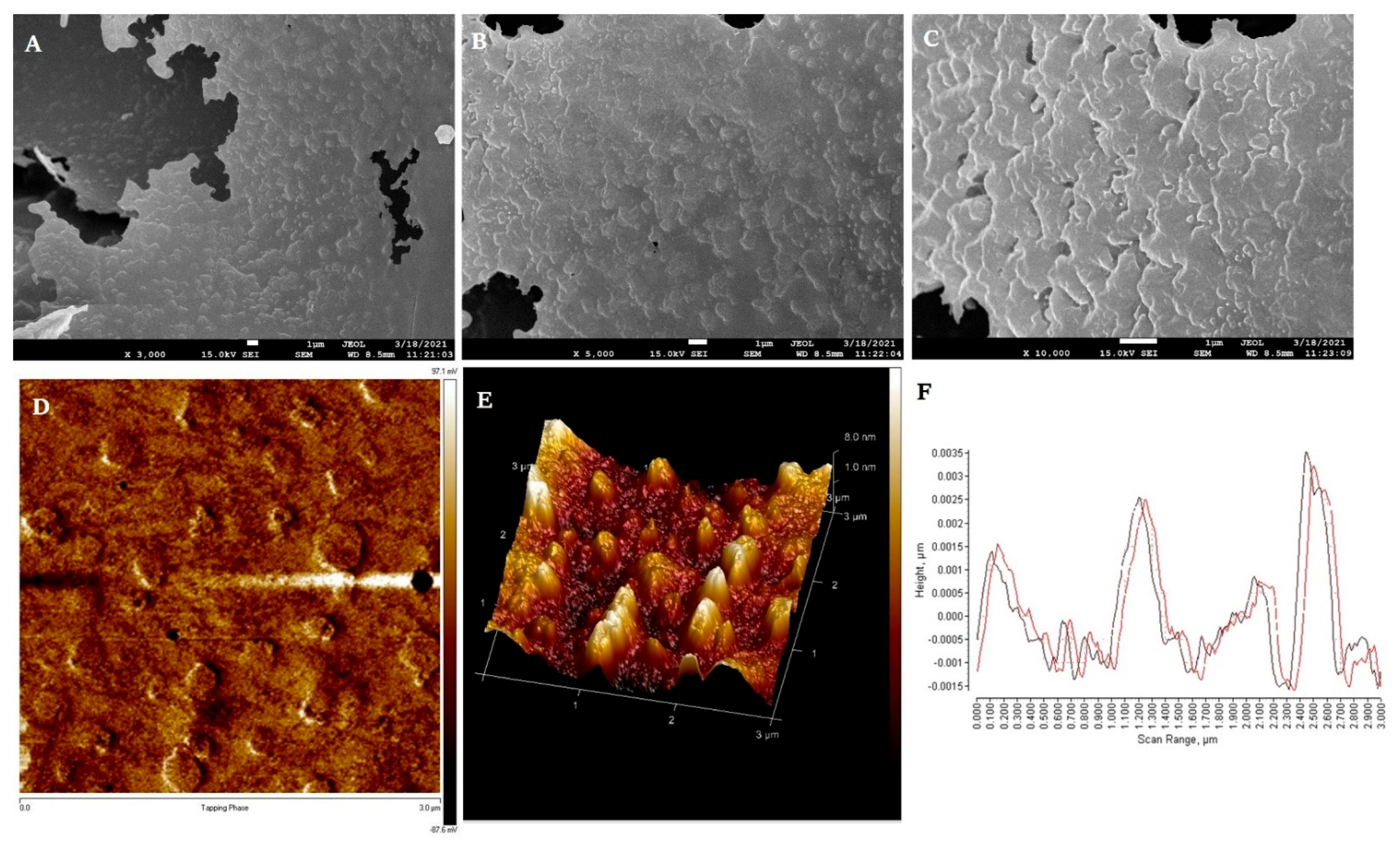 Biomolecules 12 00834 g004 Biomolecules 12 00834 g004