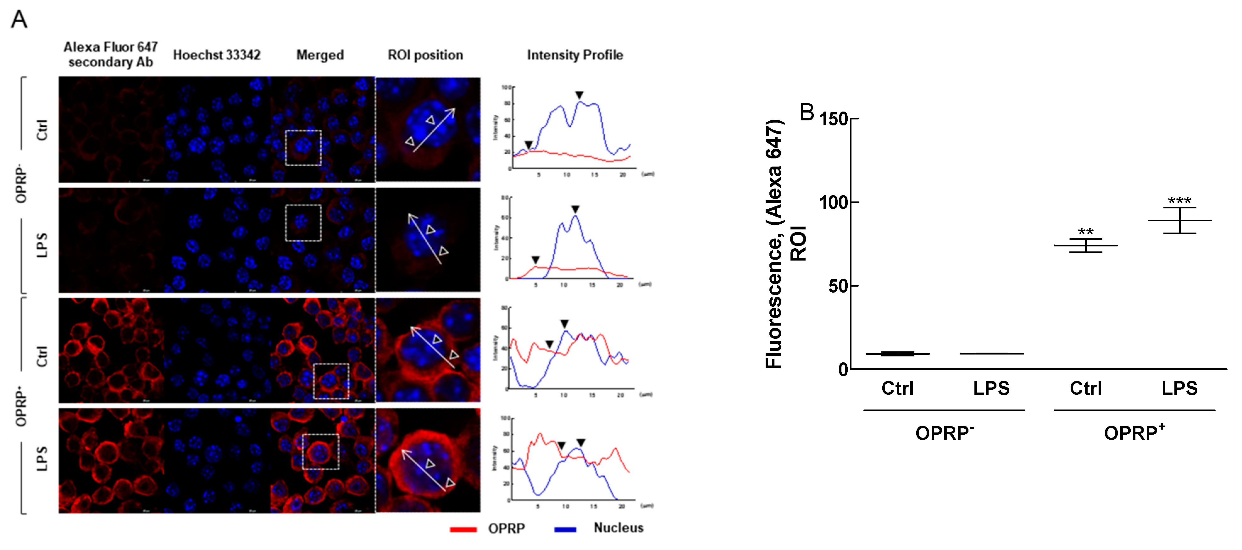 Biomolecules 12 00835 g001a