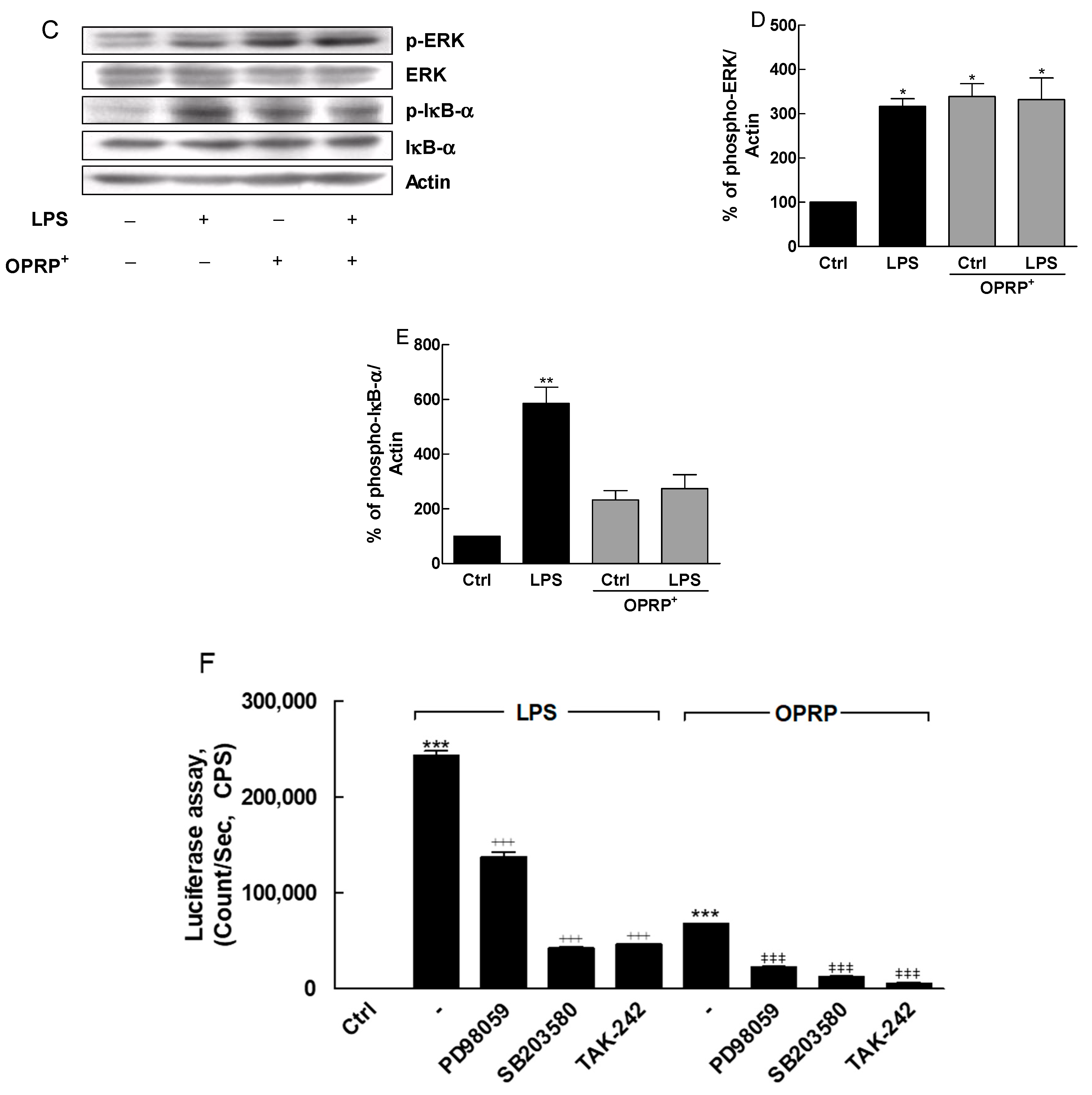 Biomolecules 12 00835 g001b