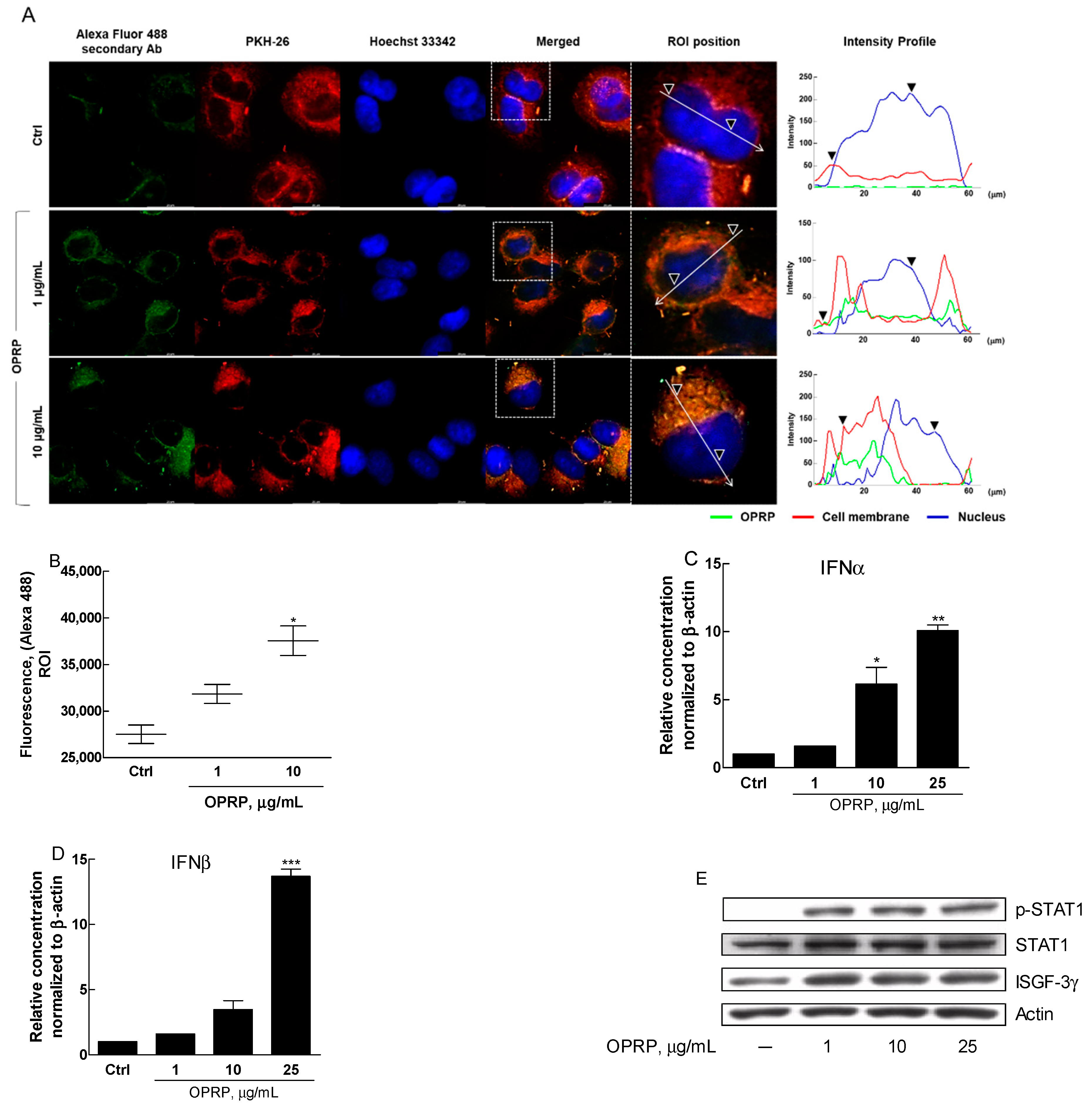 Biomolecules 12 00835 g003