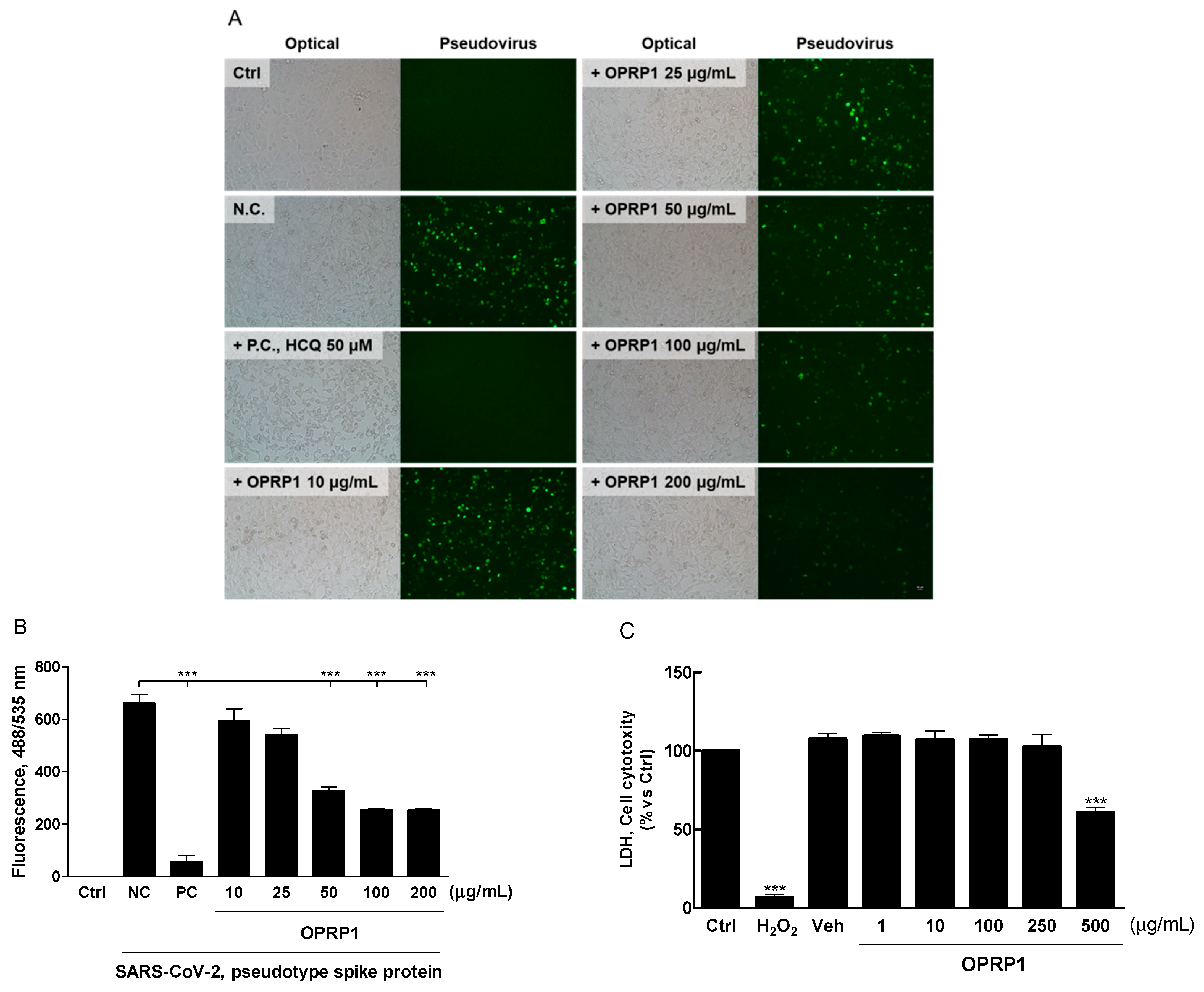 Biomolecules 12 00835 g005