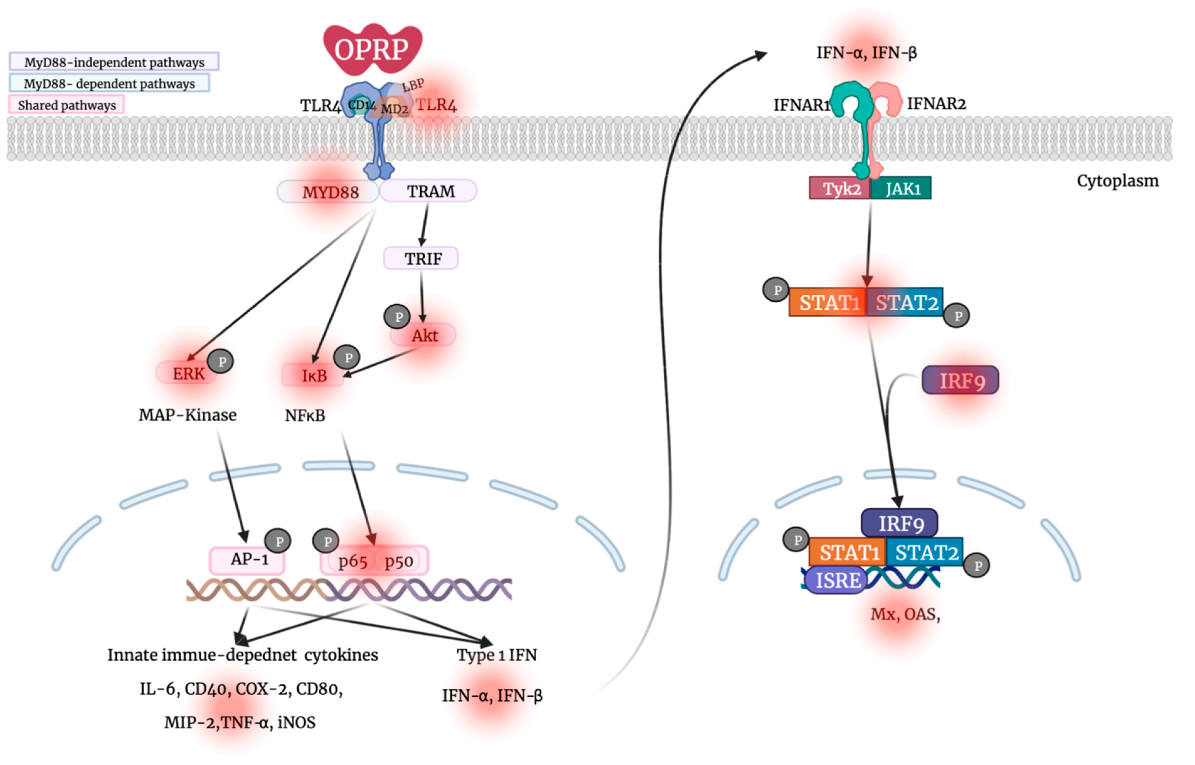 Biomolecules 12 00835 g006