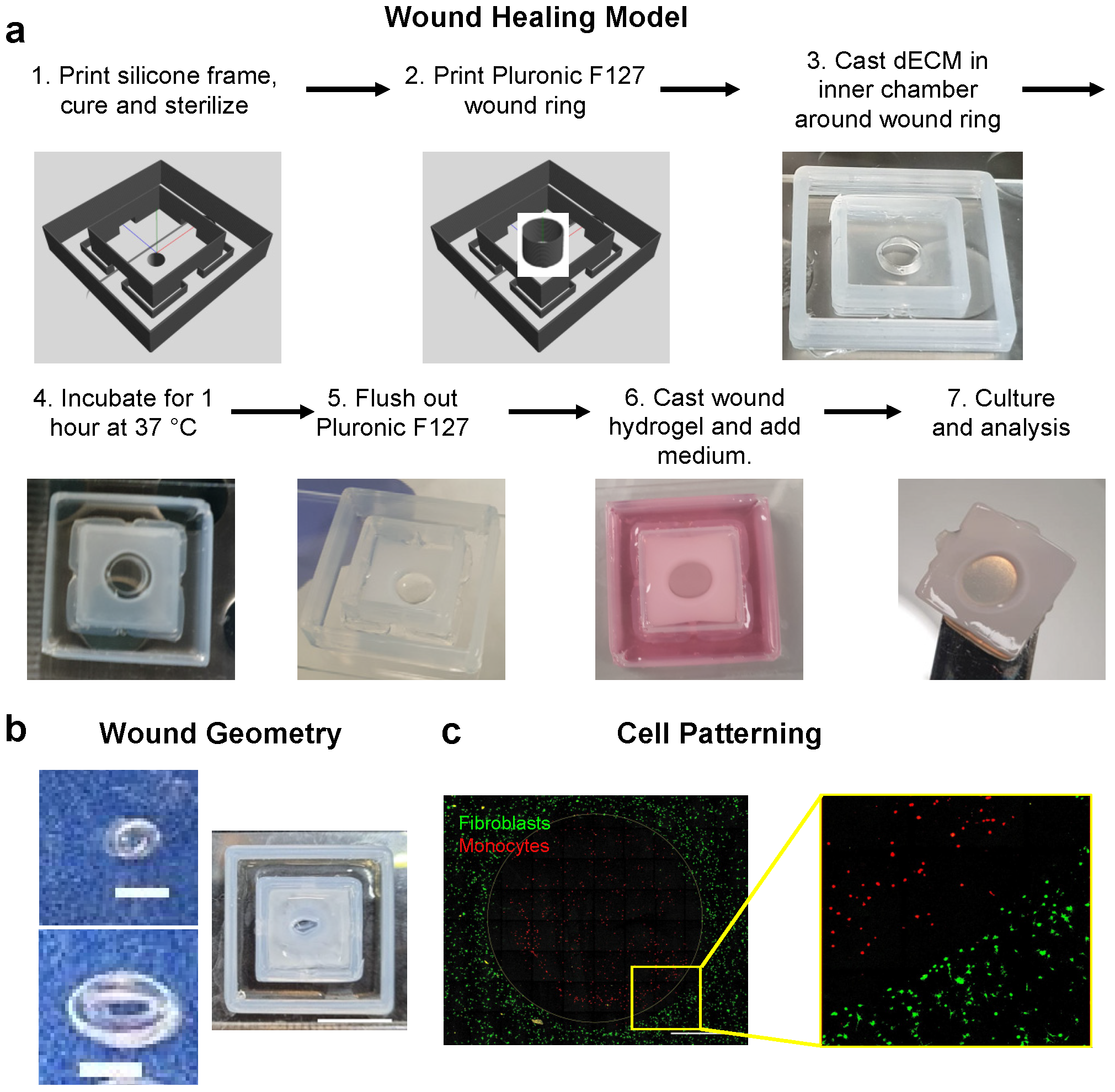 Biomolecules 12 00837 g005