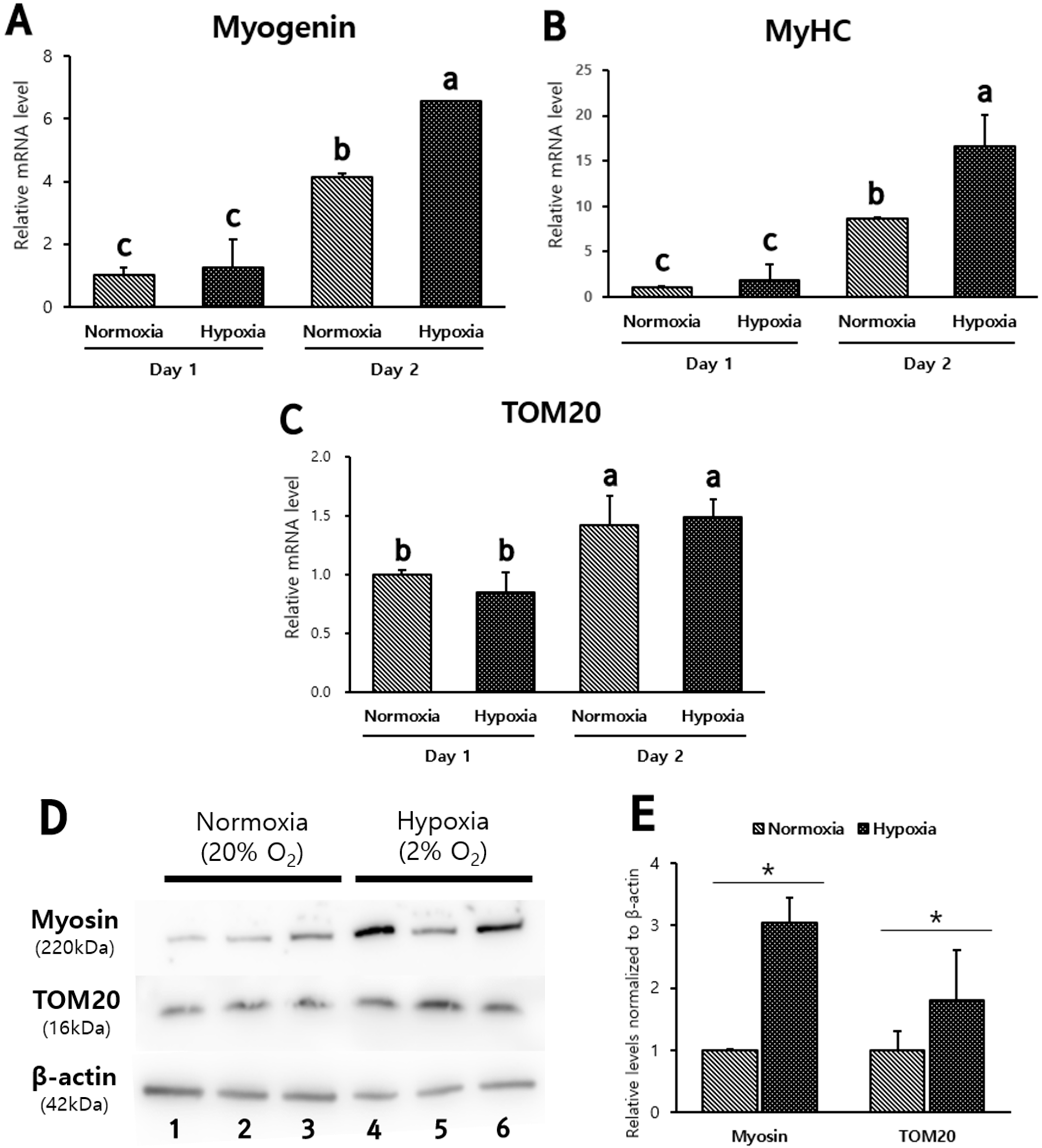 Biomolecules 12 00838 g005 550