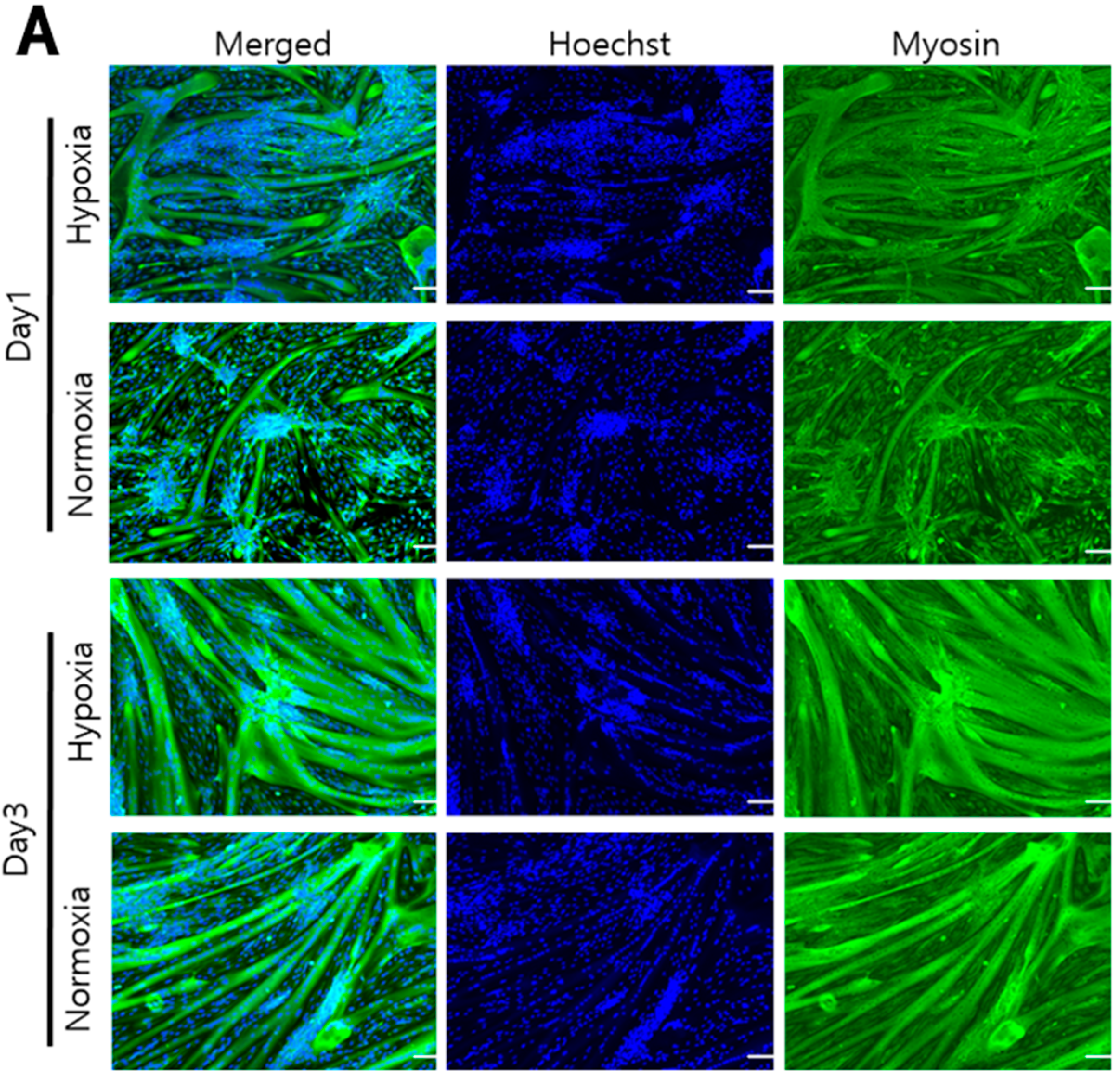 Biomolecules 12 00838 g006a 550