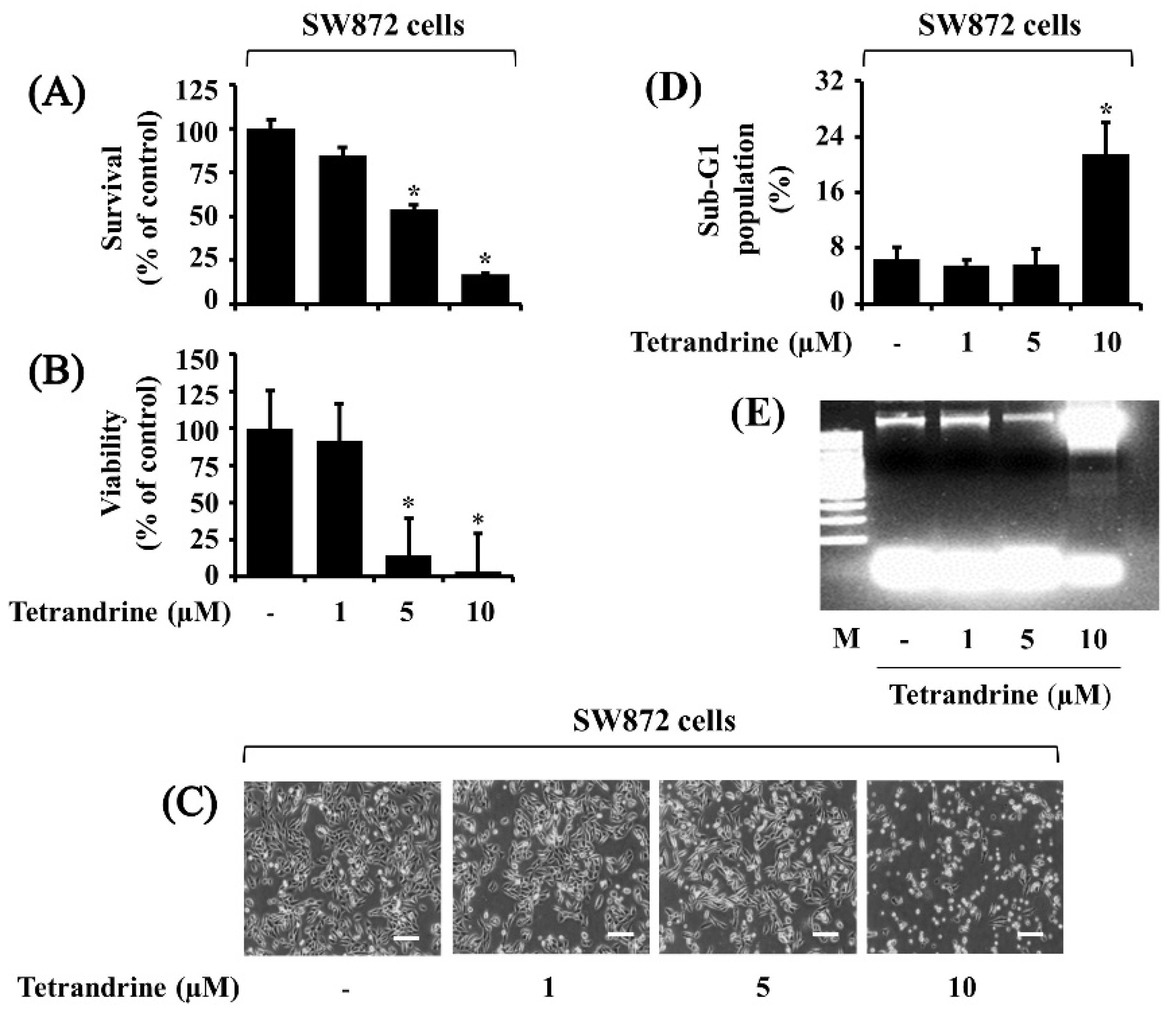 Biomolecules 12 00843 g001 Biomolecules 12 00843 g001