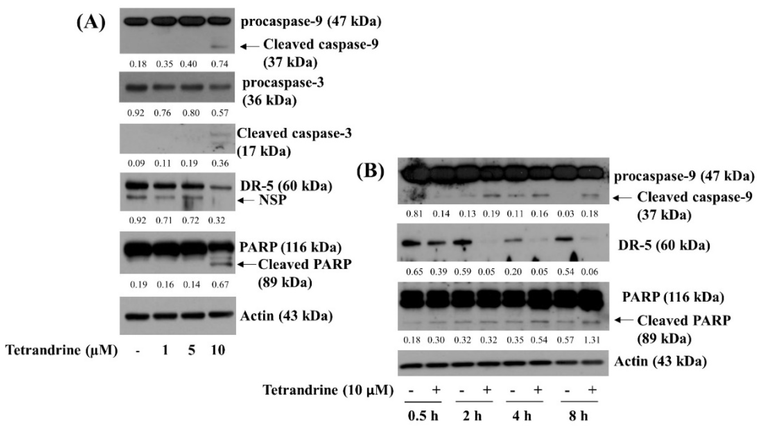 Biomolecules 12 00843 g002 Biomolecules 12 00843 g002