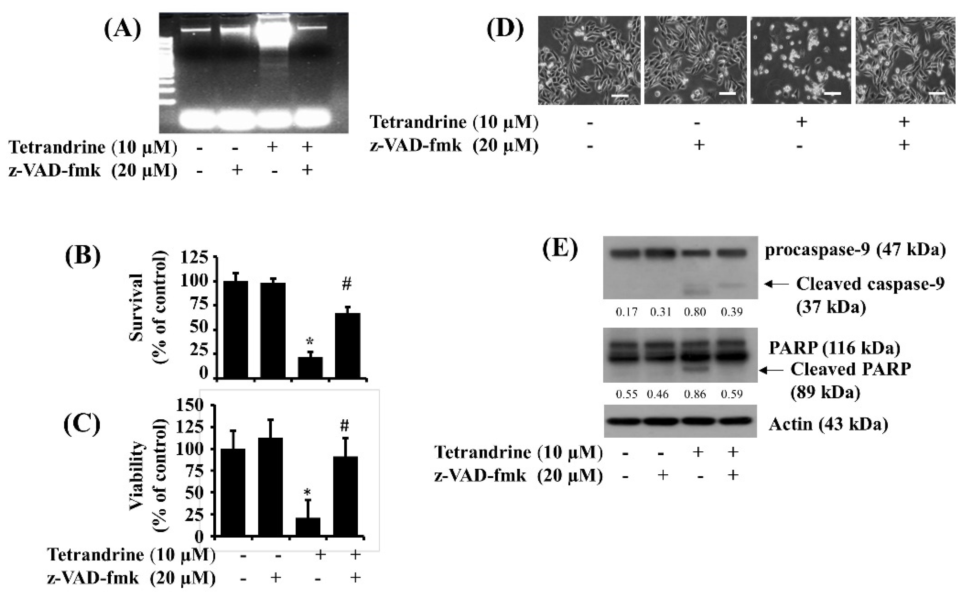 Biomolecules 12 00843 g003 Biomolecules 12 00843 g003